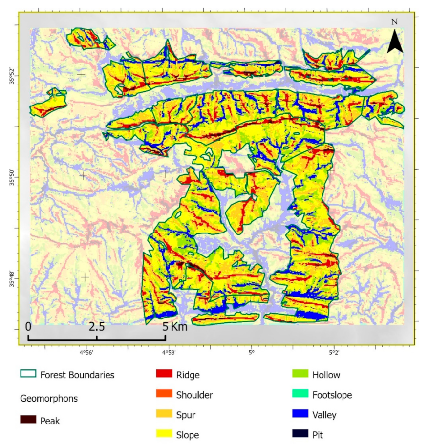 Forests 13 01159 g004