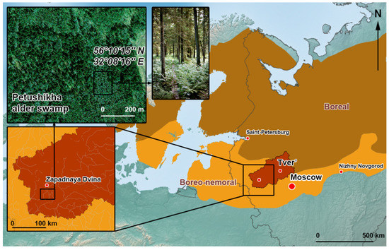 Forests | Free Full-Text | Spatio-Temporal Variability of Methane Fluxes in  Boreo-Nemoral Alder Swamp (European Russia)