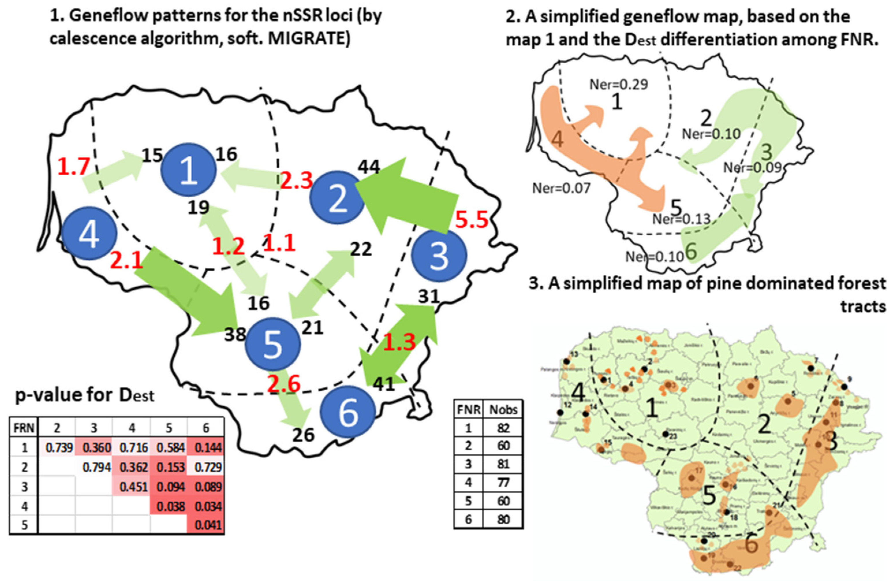 Forests 13 01179 g002 Forests 13 01179 g002