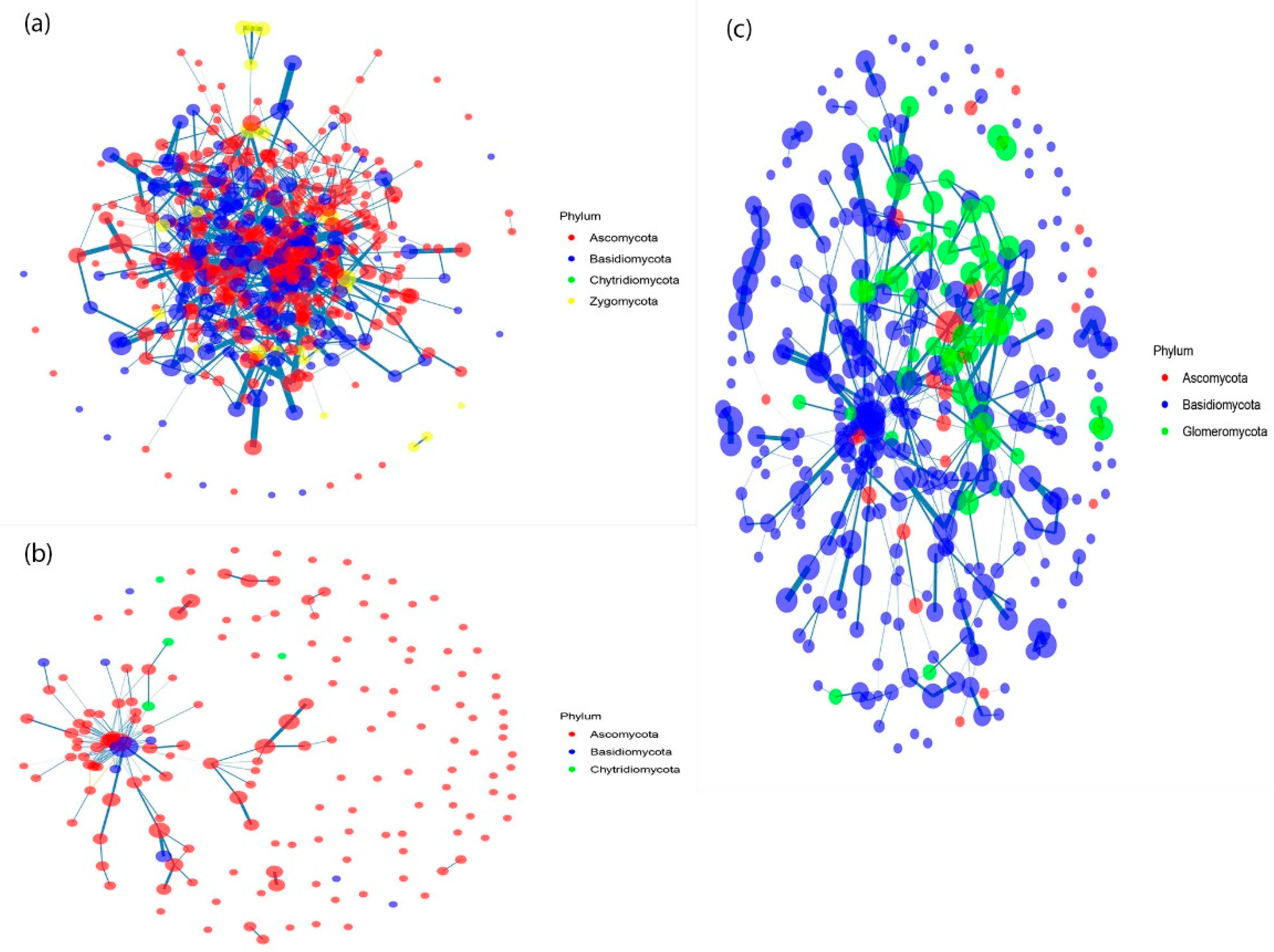 Forests 13 01188 g002
