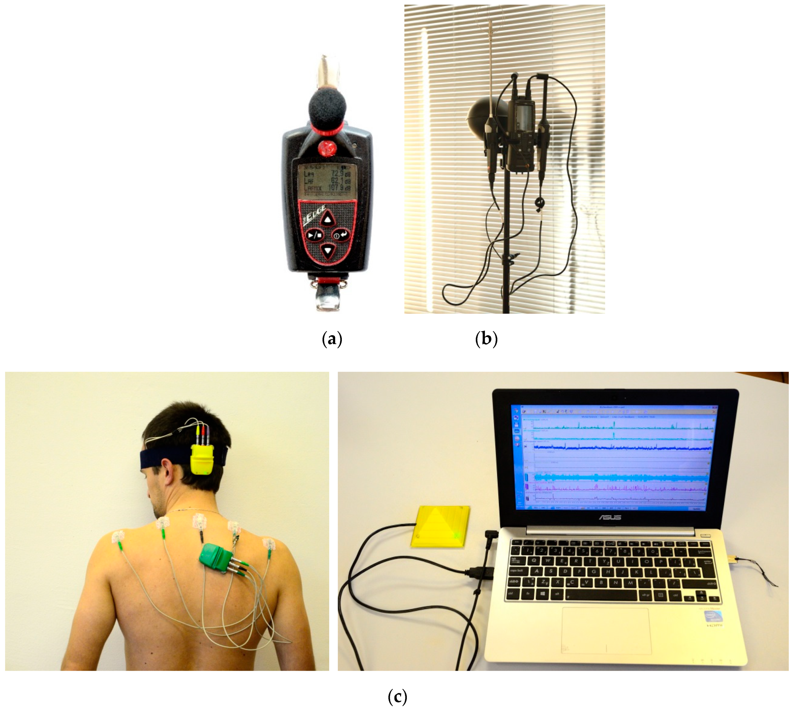 Forests 13 01196 g002