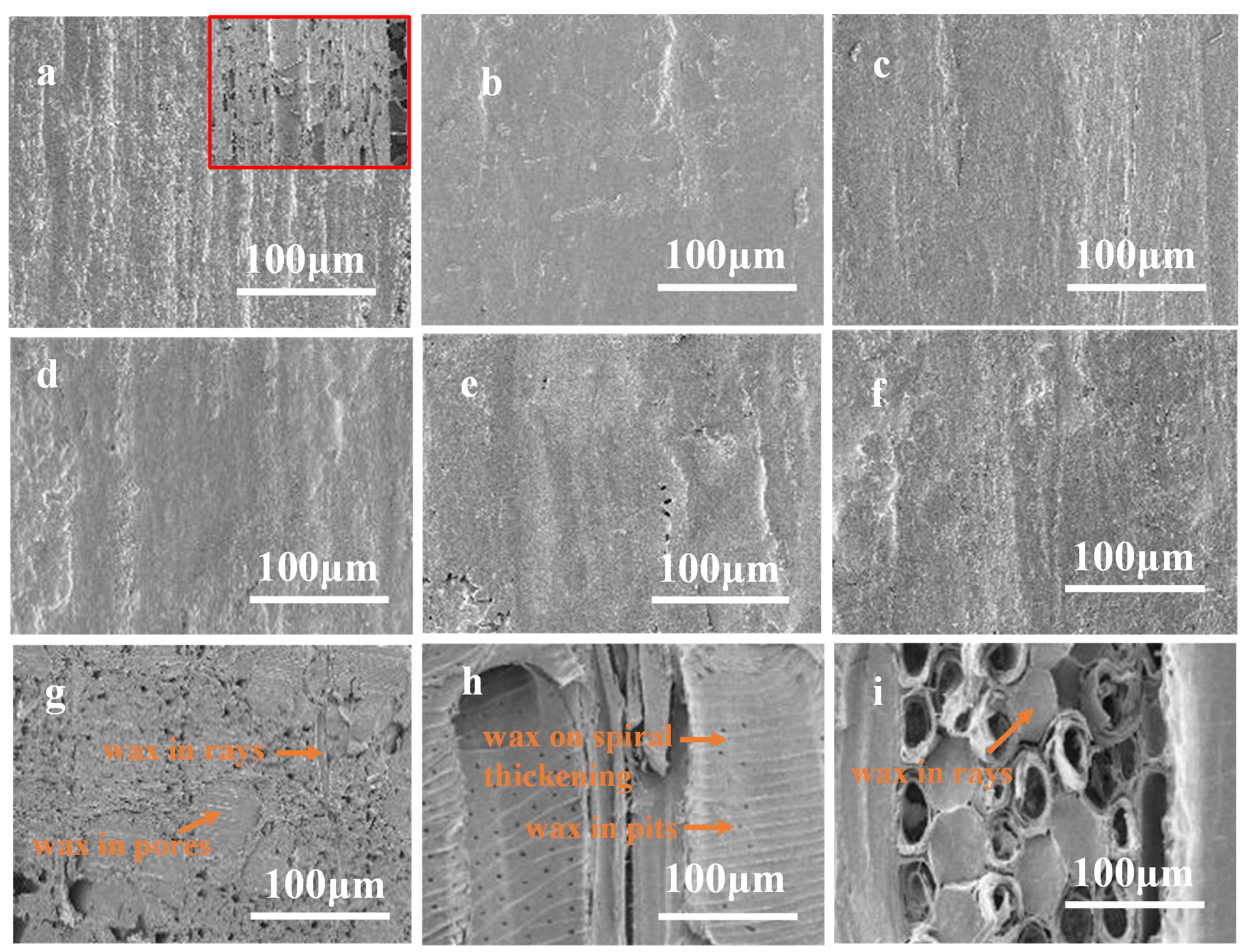 Forests 13 01205 g008