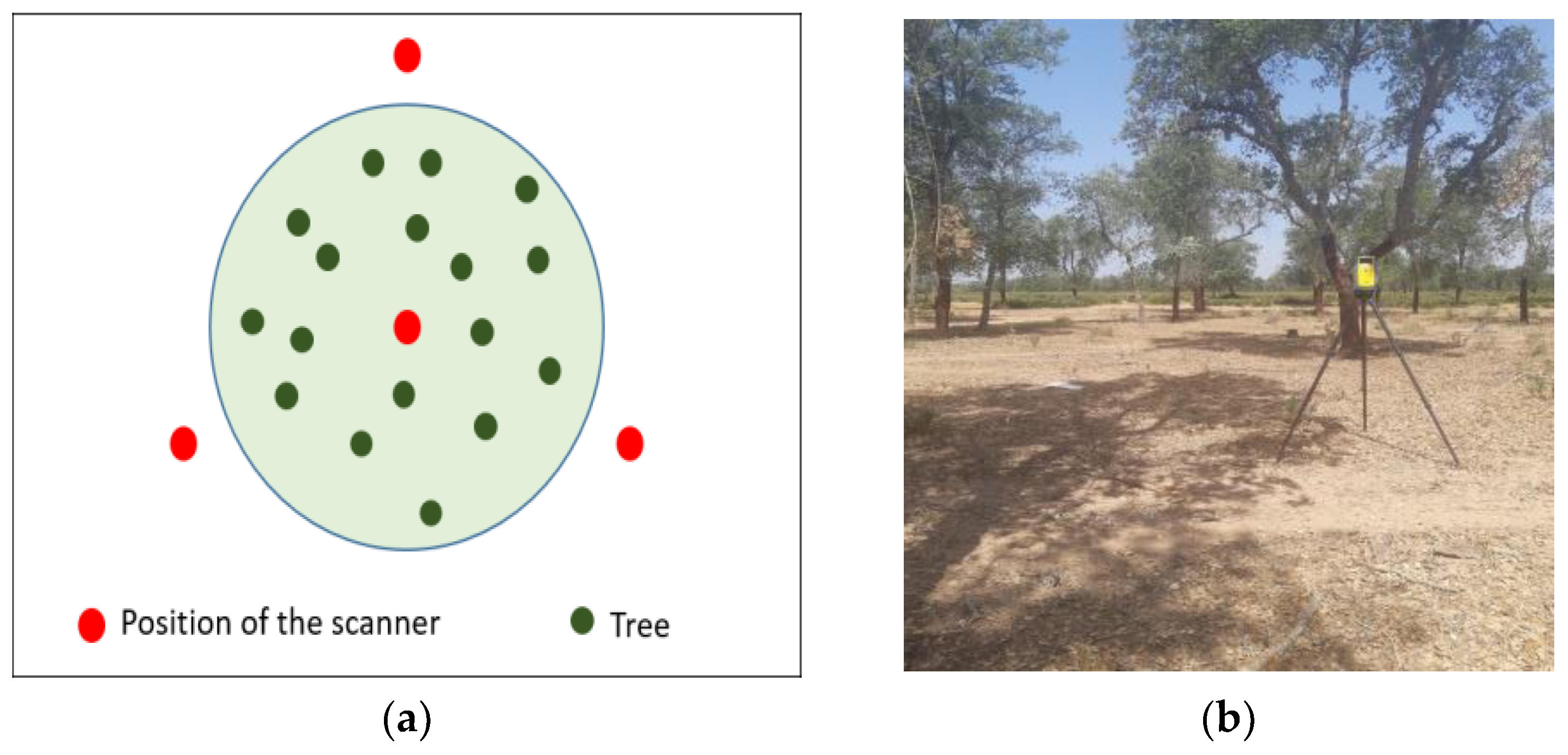 Forests 13 01211 g004