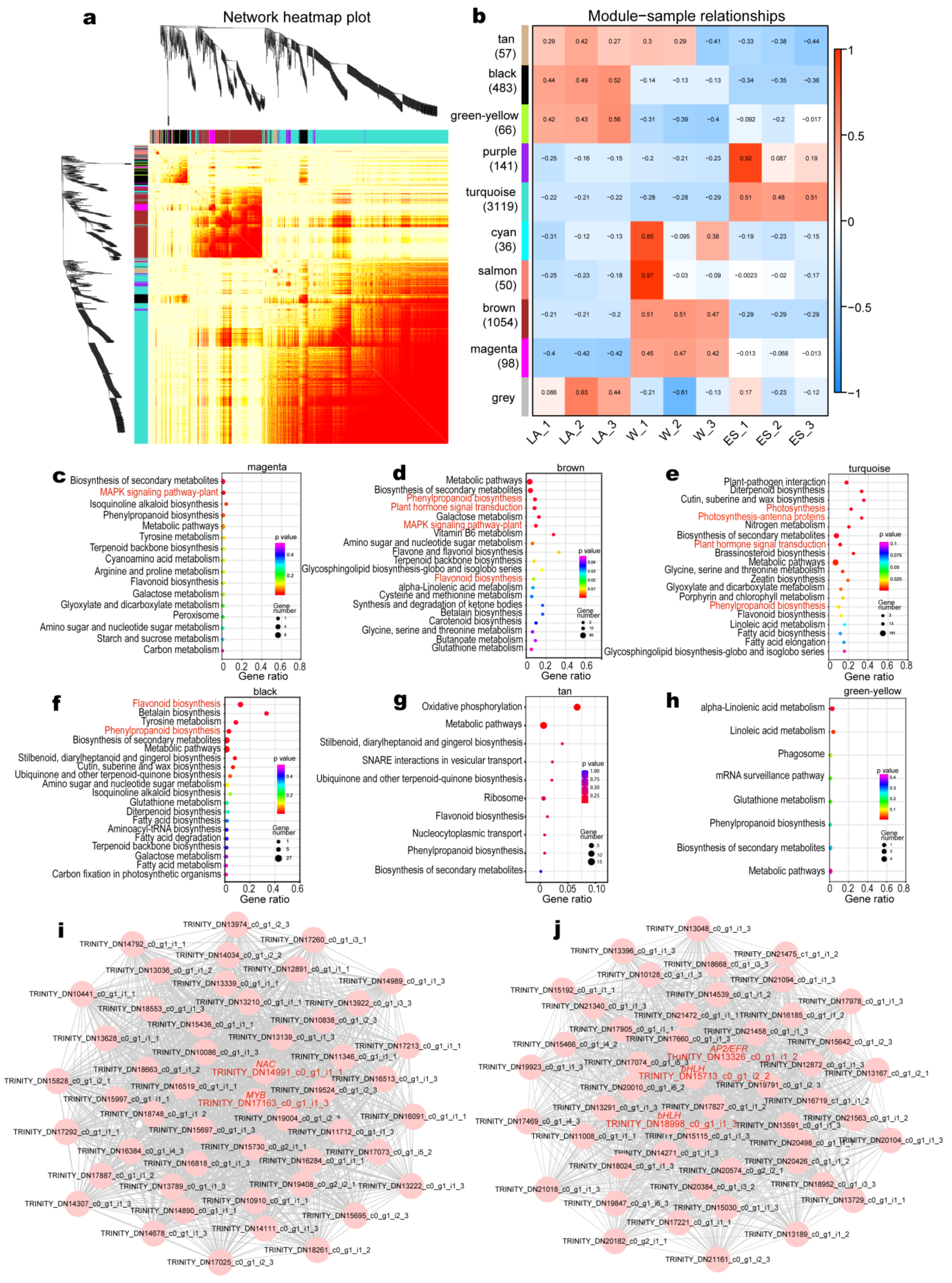 Forests 13 01249 g004