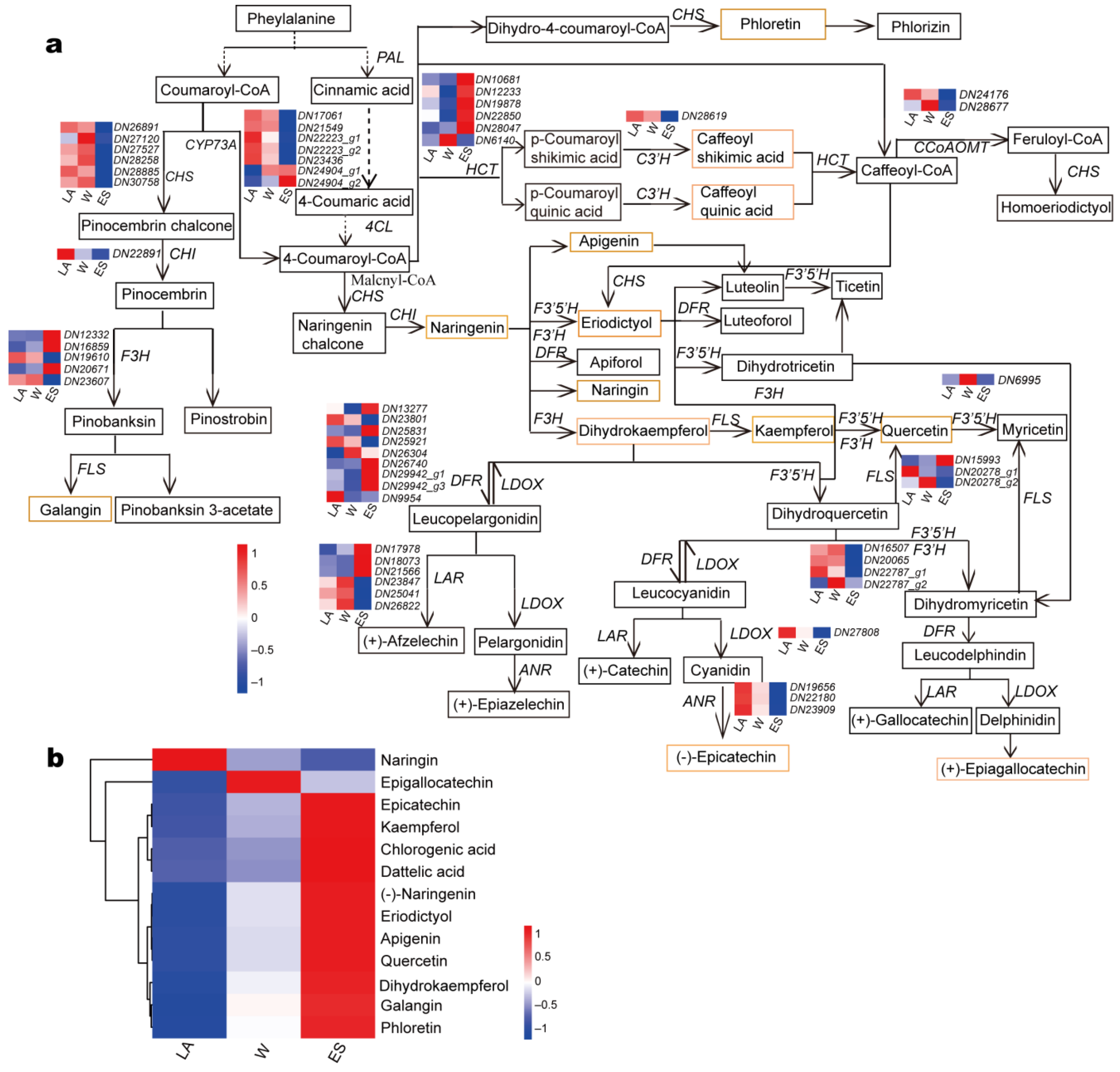 Forests 13 01249 g006