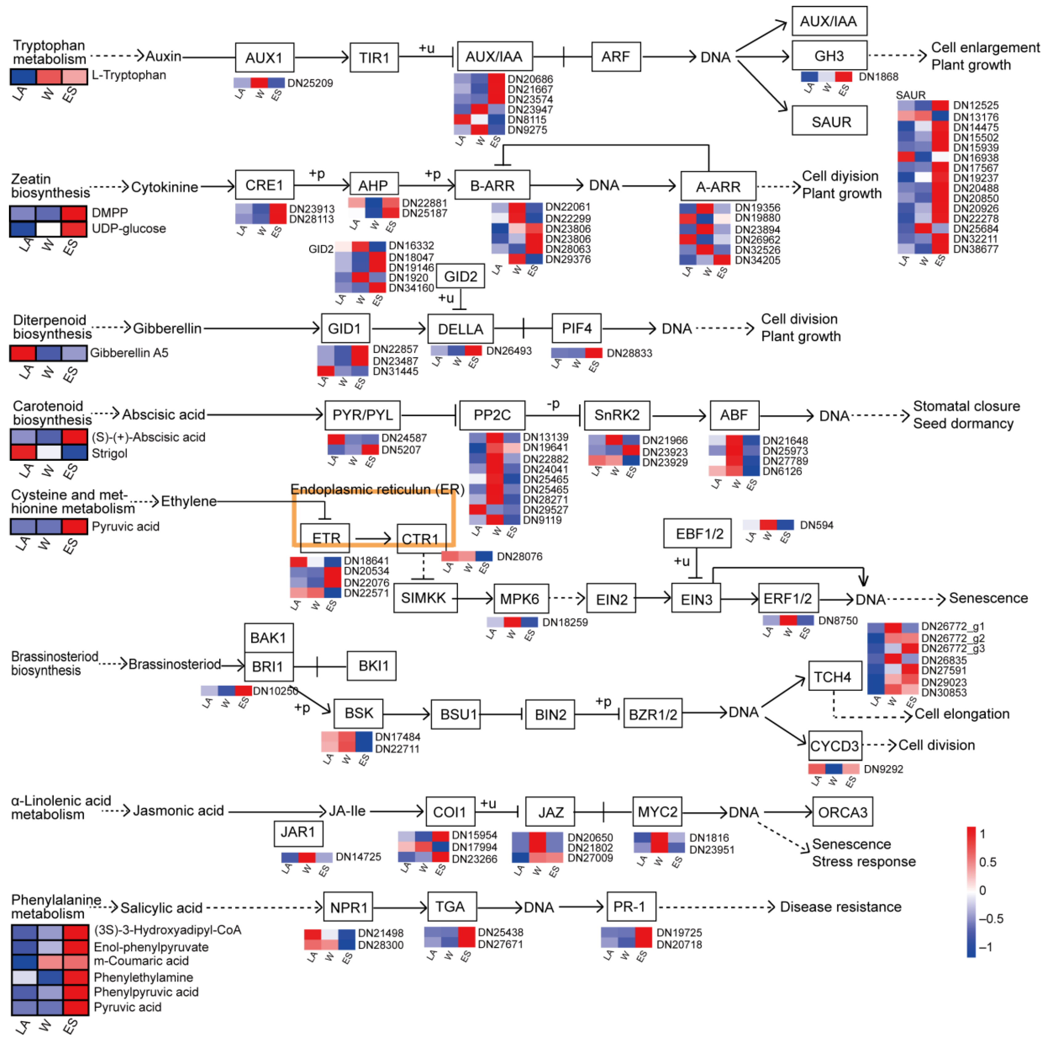 Forests 13 01249 g007