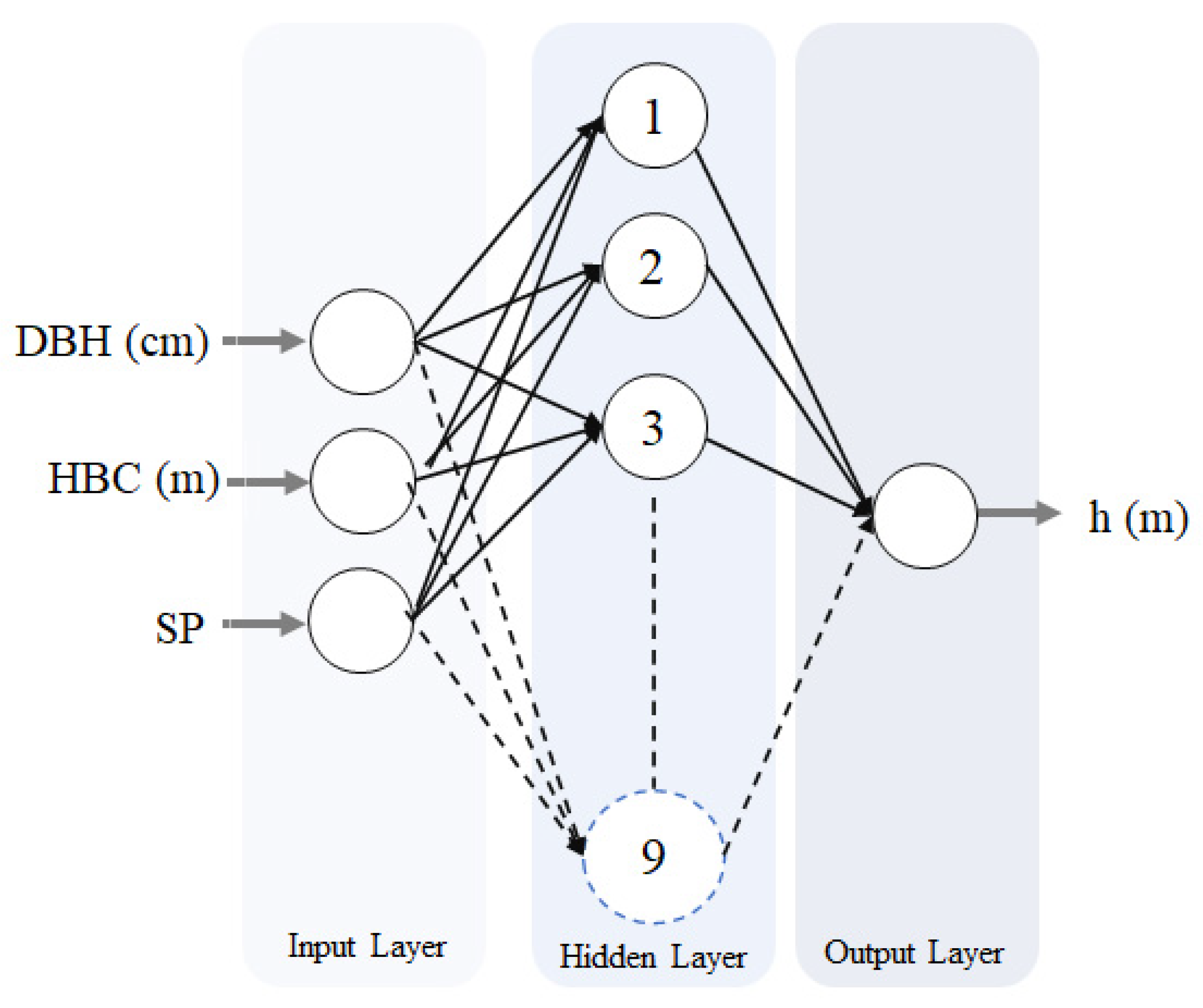 Forests 13 01284 g003 Forests 13 01284 g003