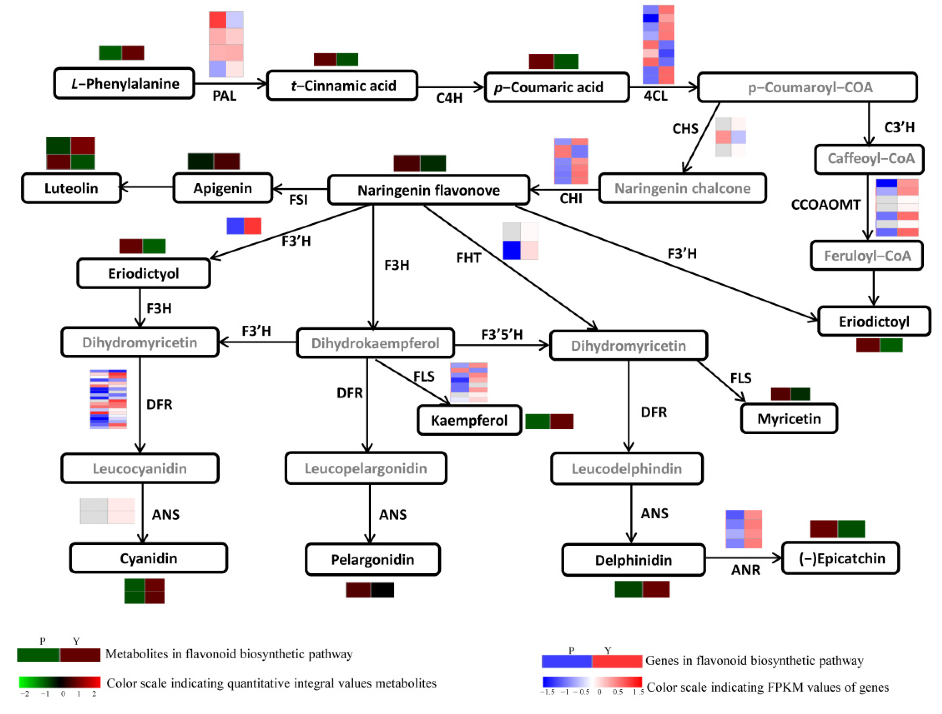Forests 13 01285 g009