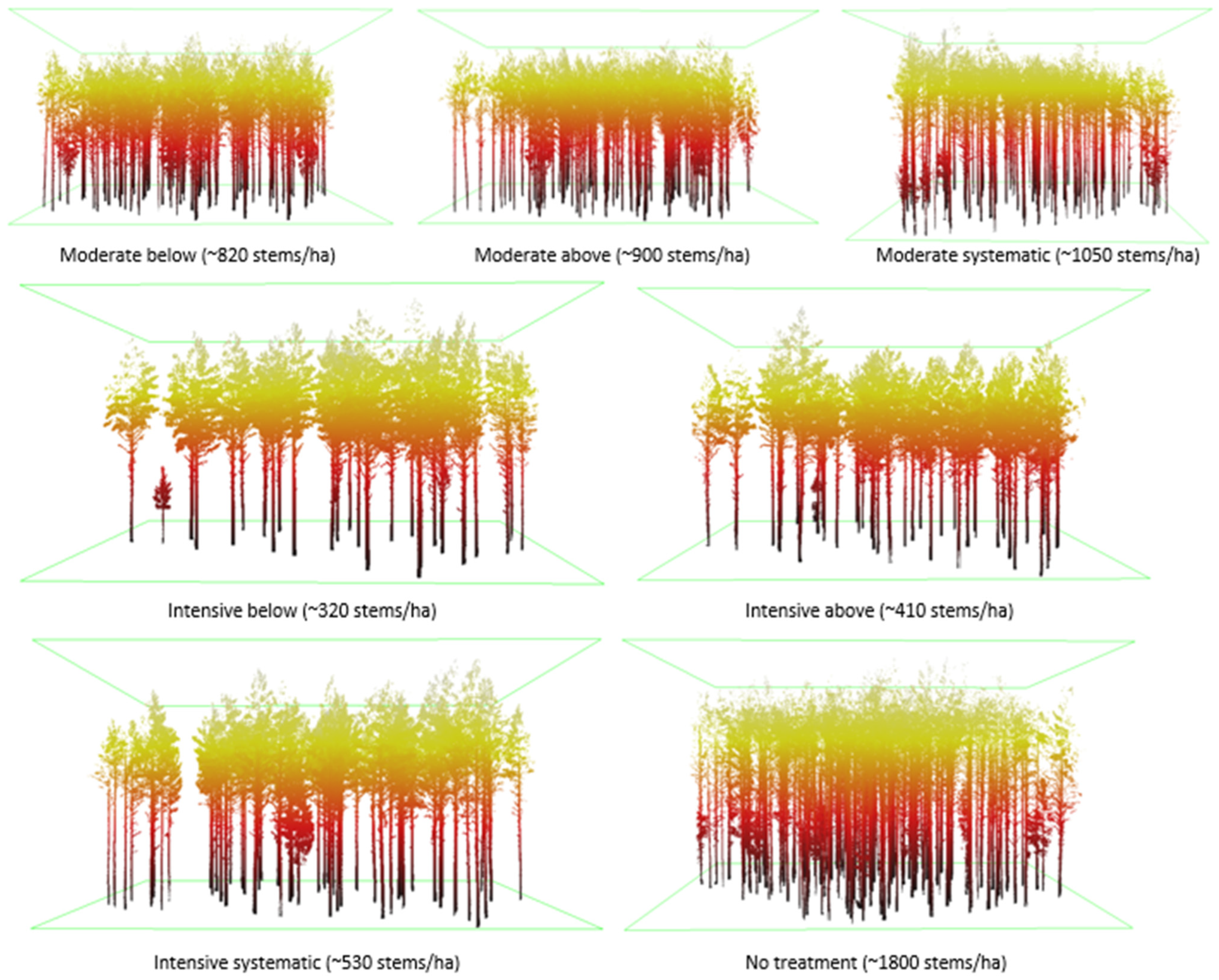 Forests 13 01305 g003