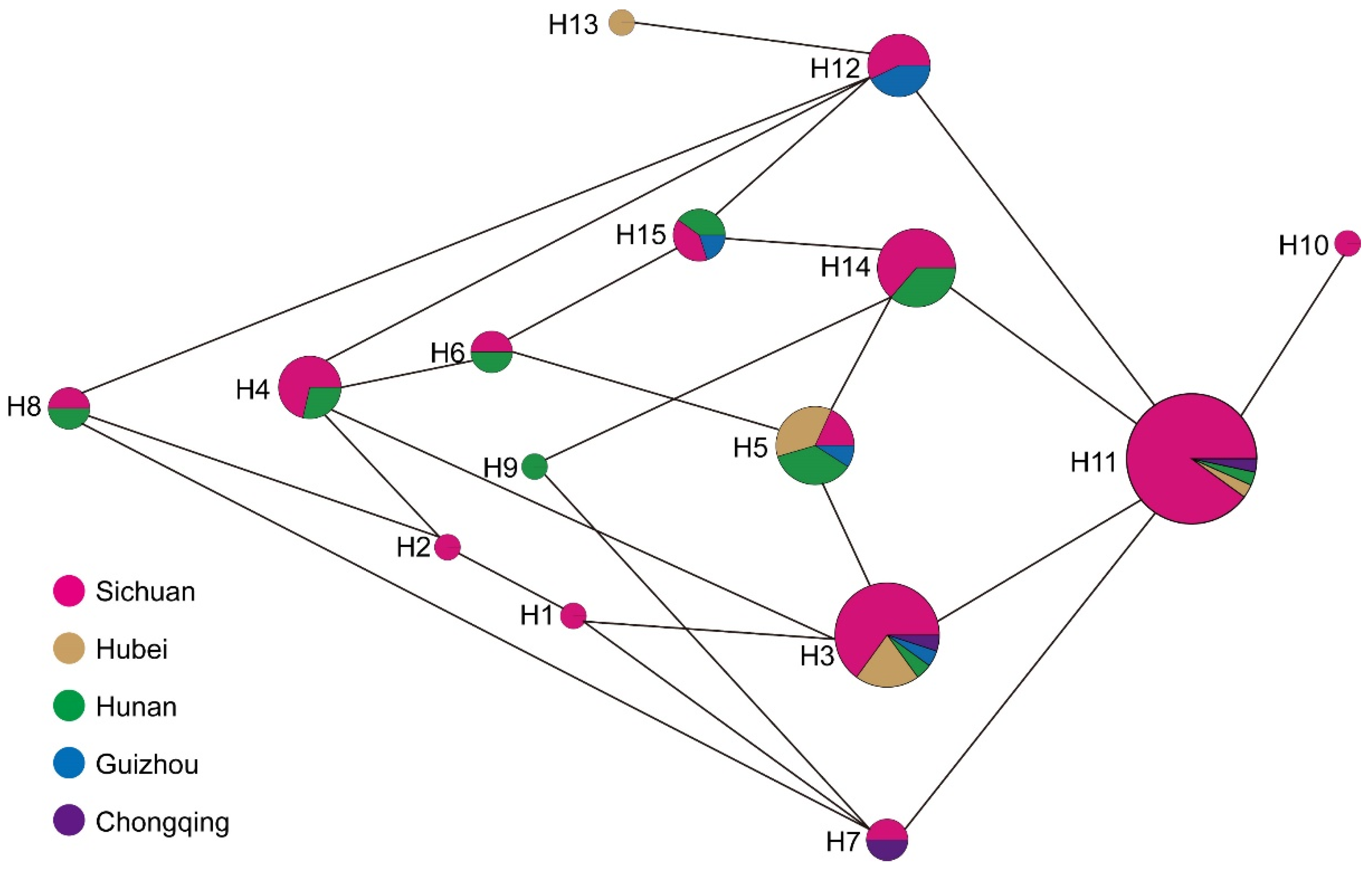 Forests 13 01320 g002