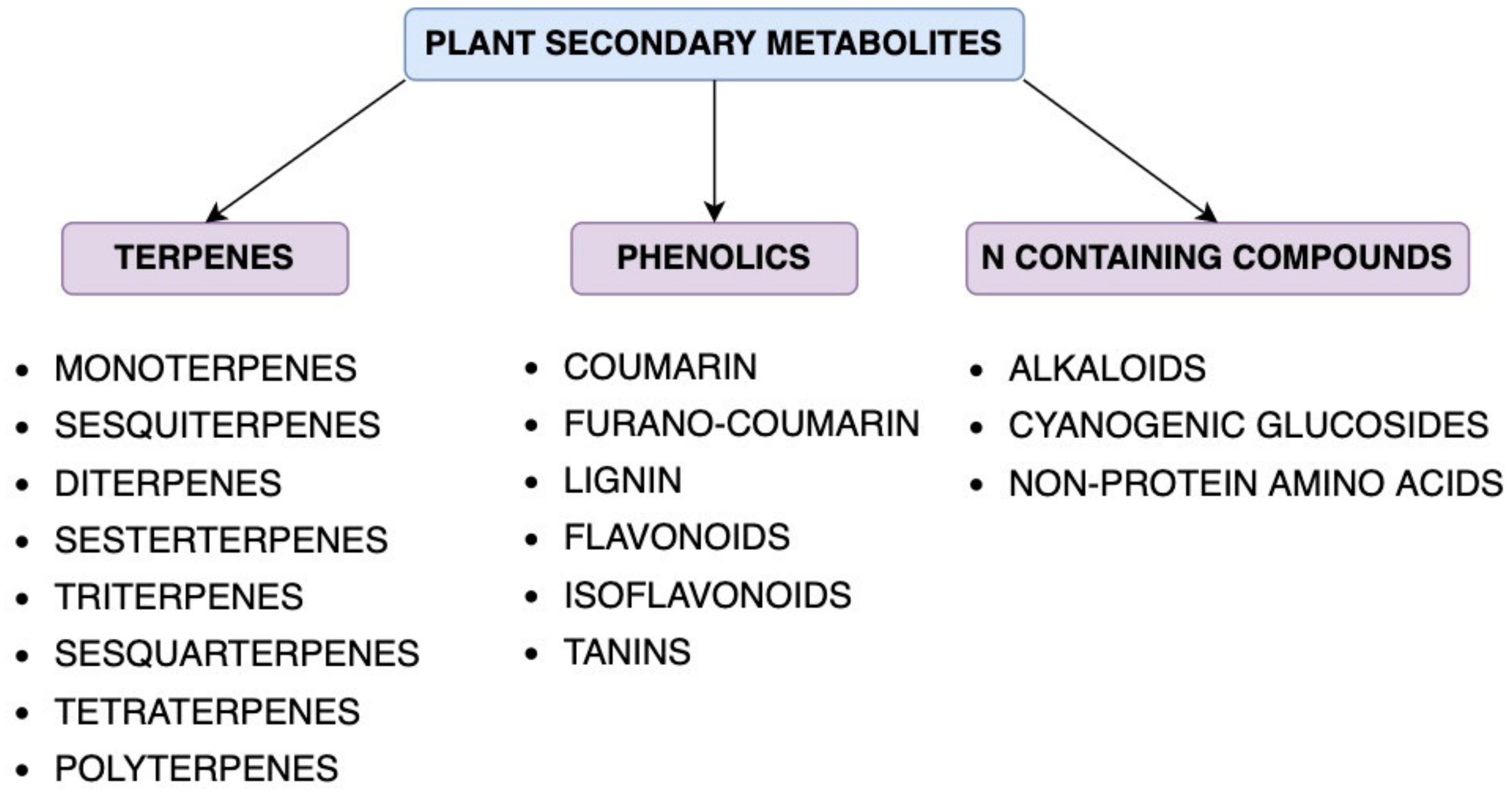 Forests 13 01338 g002 Forests 13 01338 g002