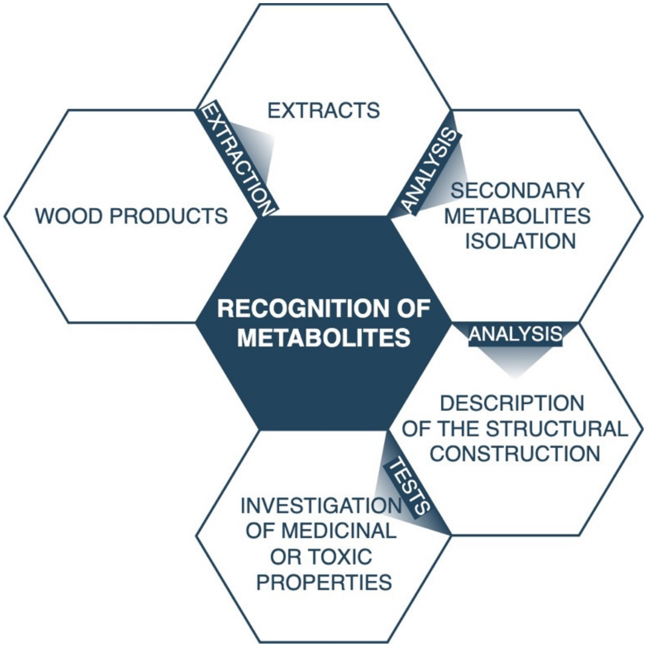 Forests 13 01338 g004 Forests 13 01338 g004