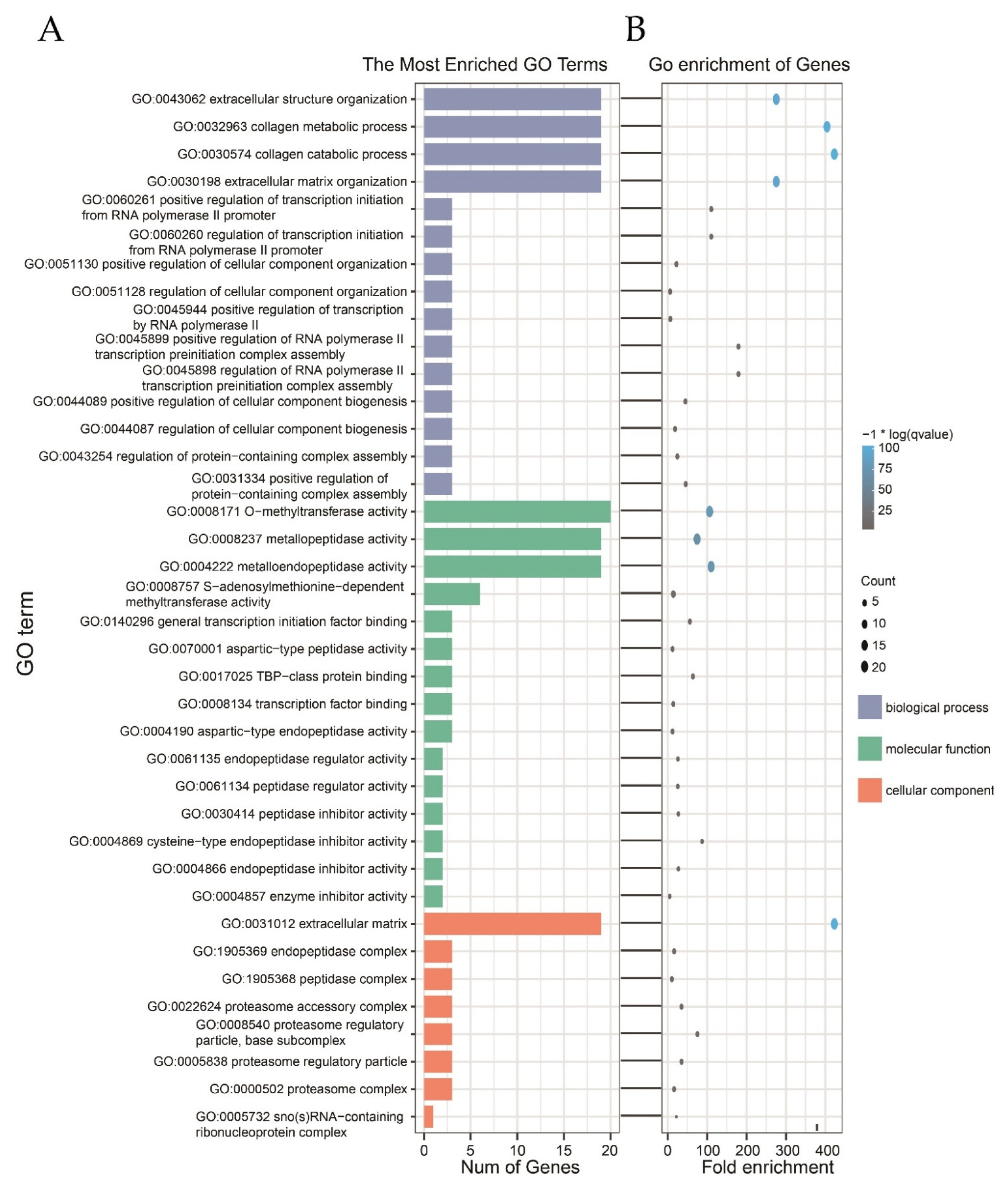 Forests 13 01365 g005