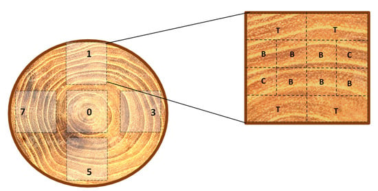 Wooden Balance Board - Diameter 39.5 cm / Height 7.5 cm