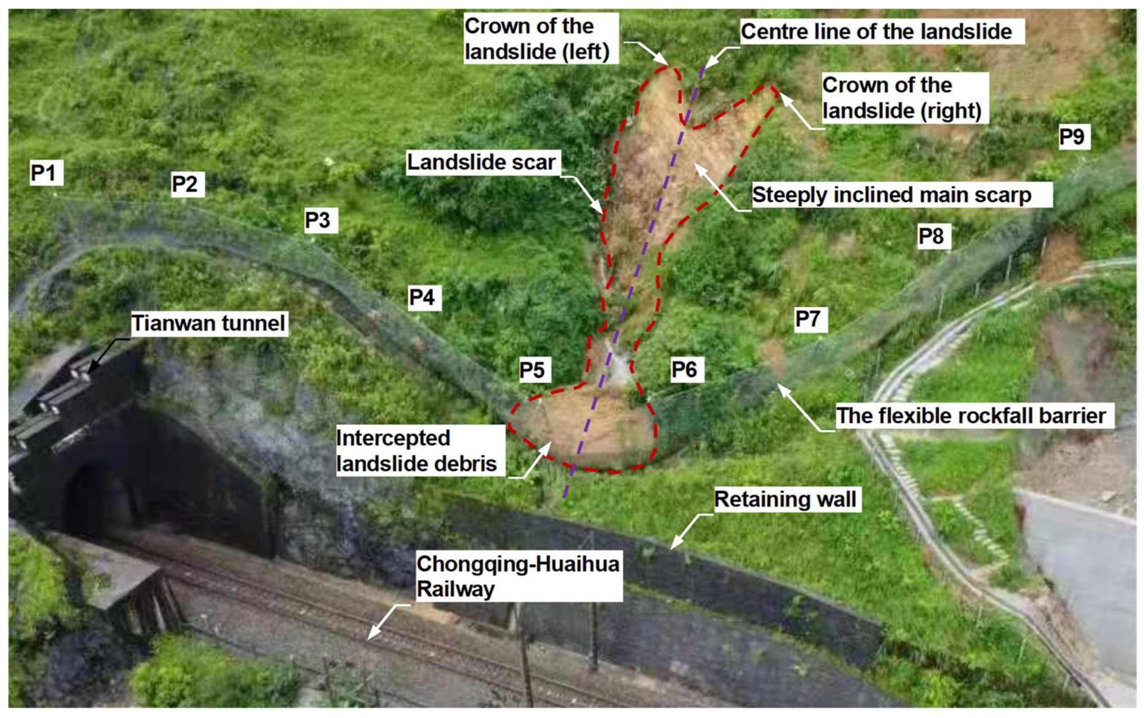 Forests 13 01384 g002