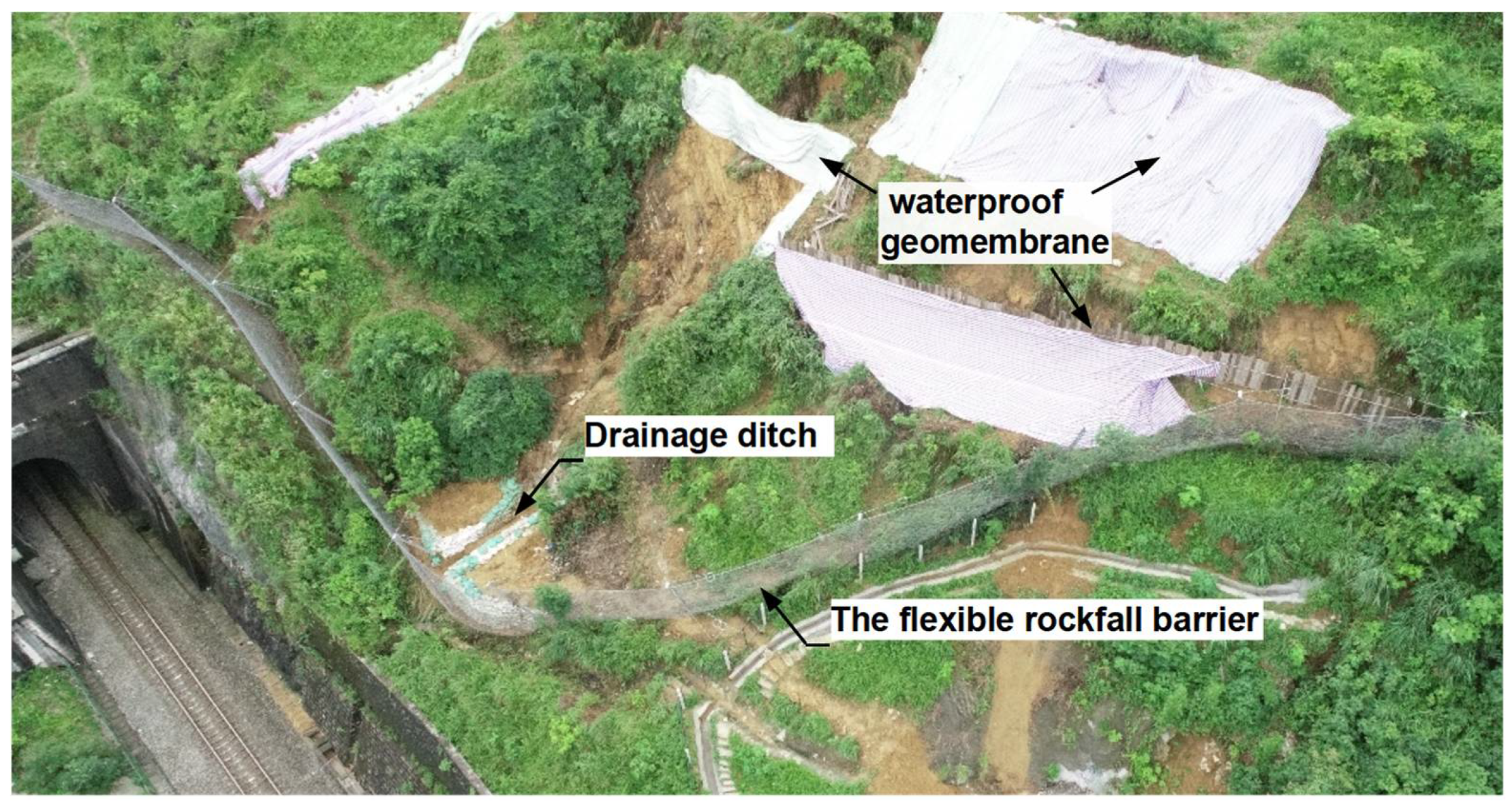 Forests 13 01384 g005