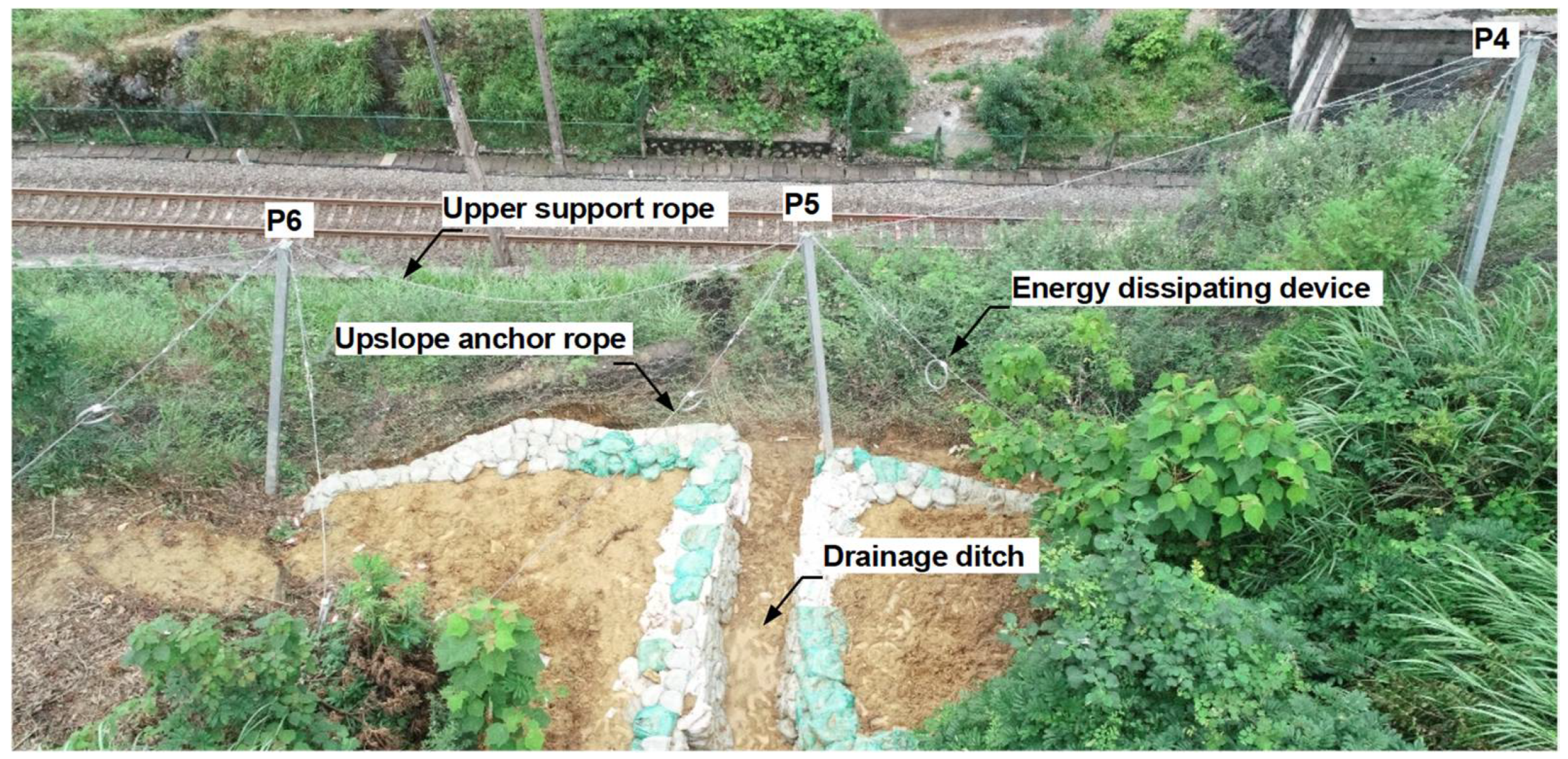 Forests 13 01384 g006