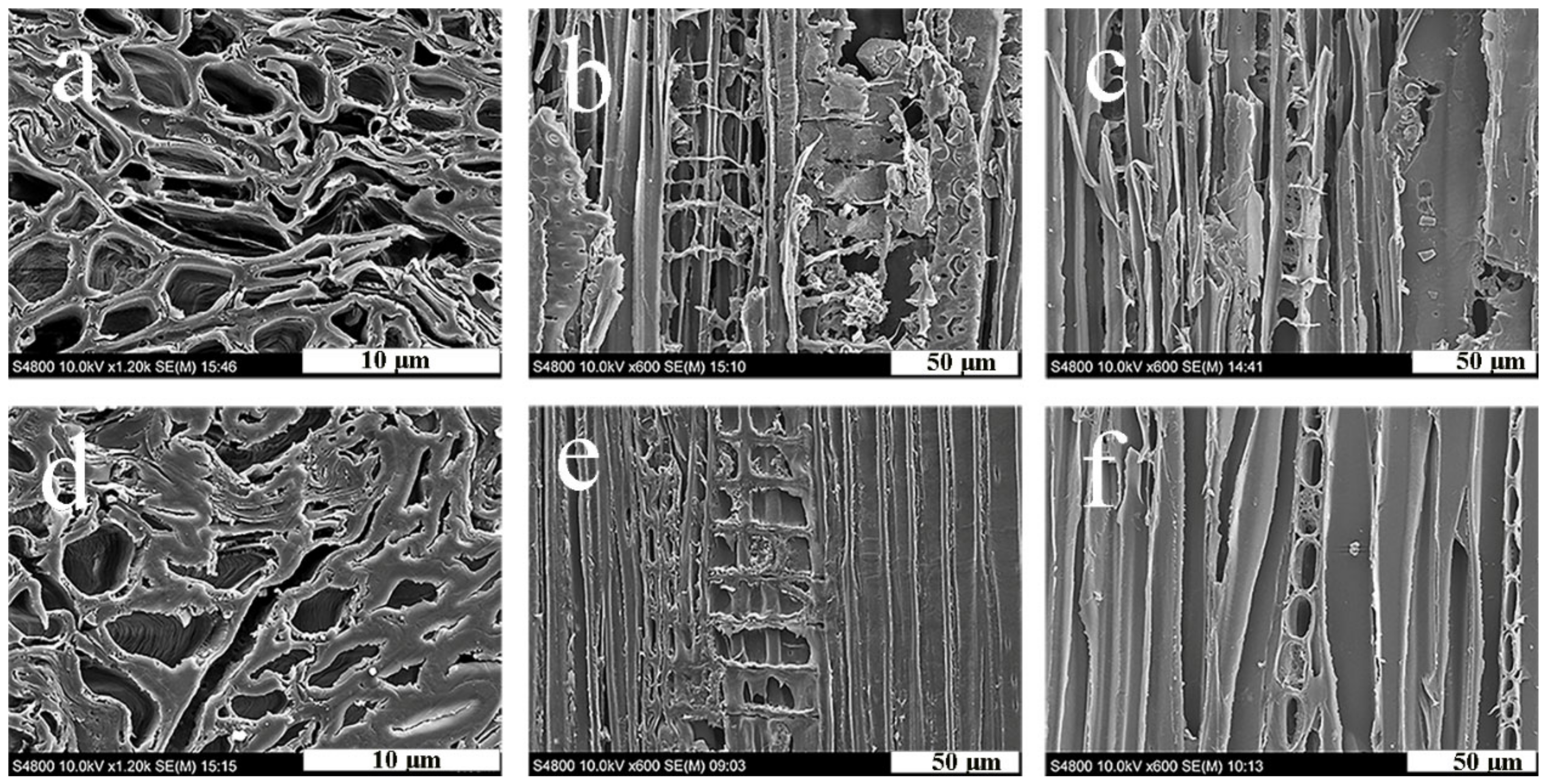 Forests 13 01387 g006