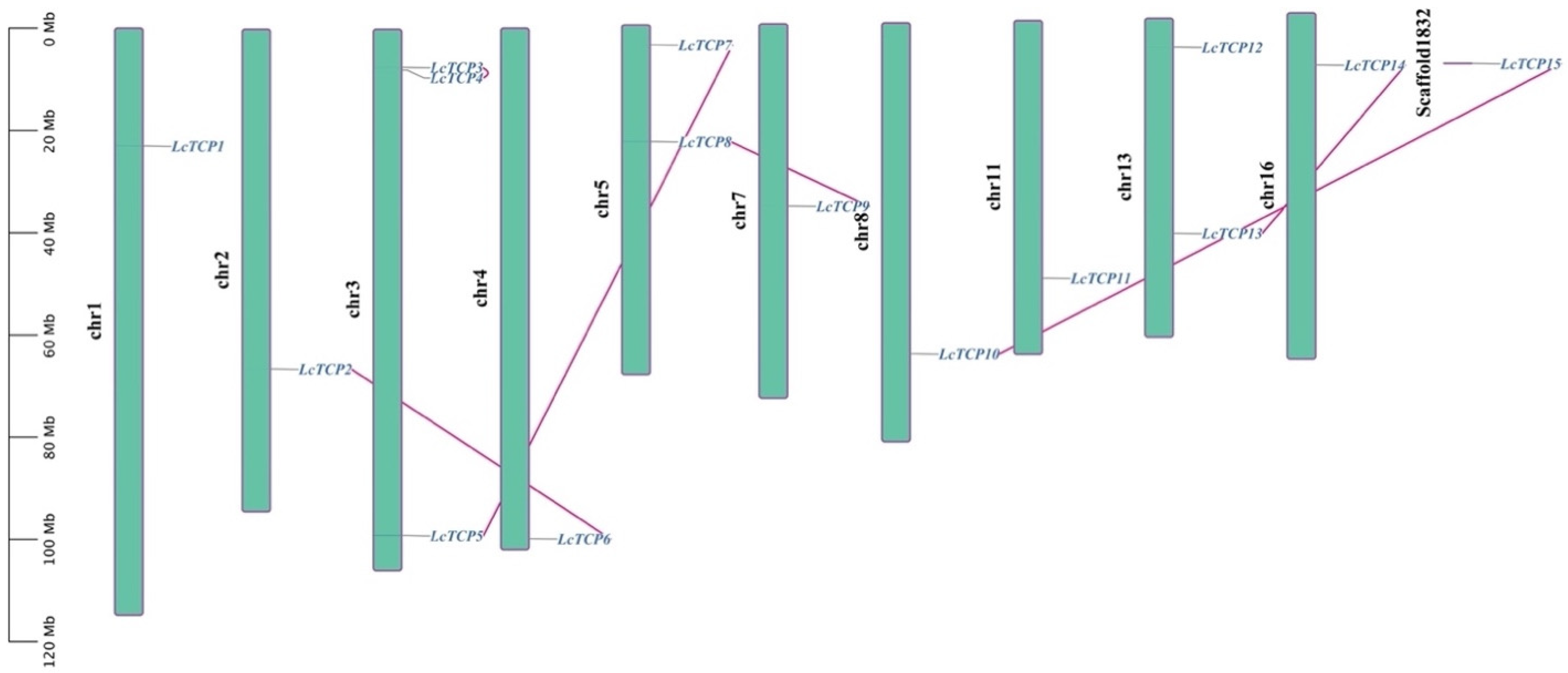 Forests 13 01401 g004