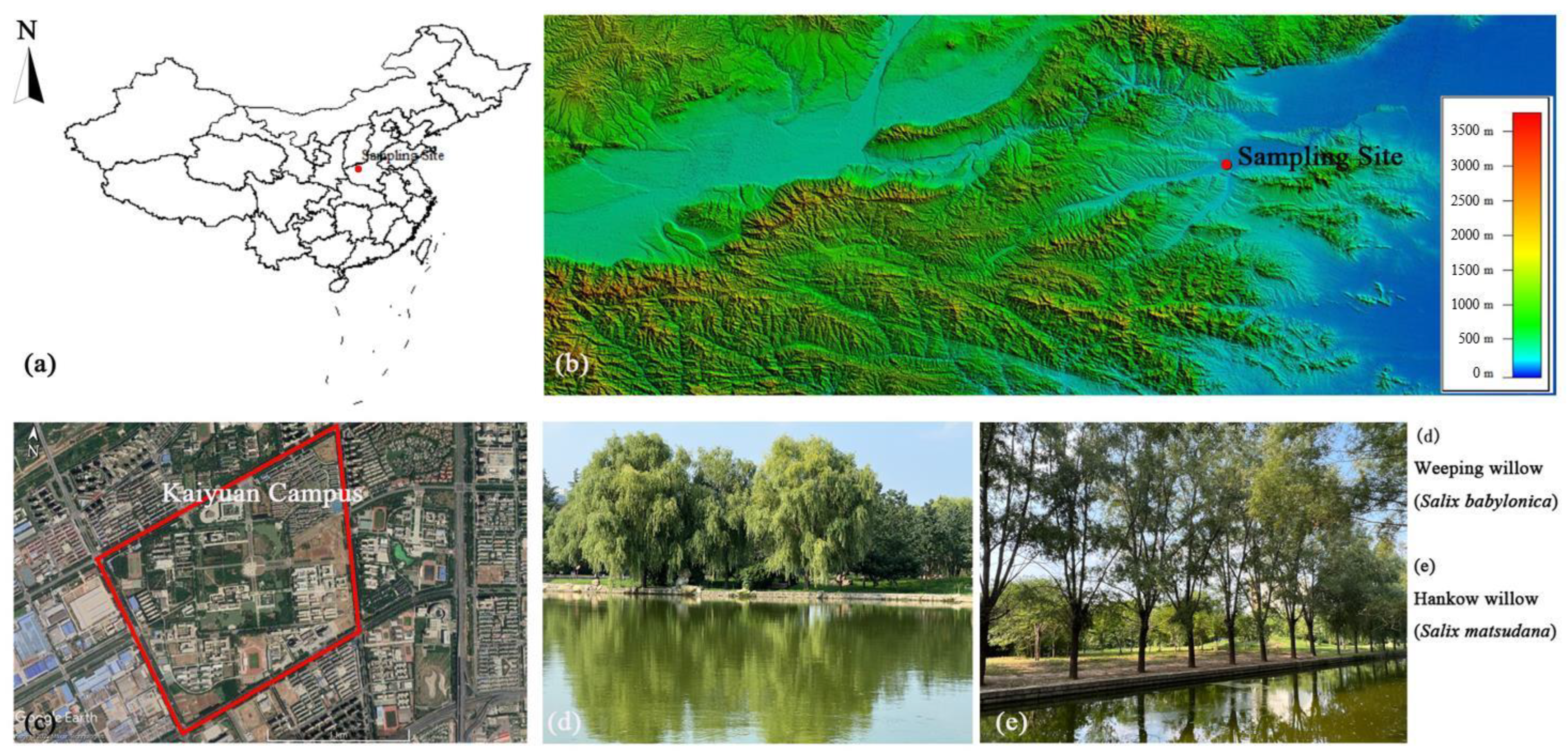 Forests 13 01441 g001