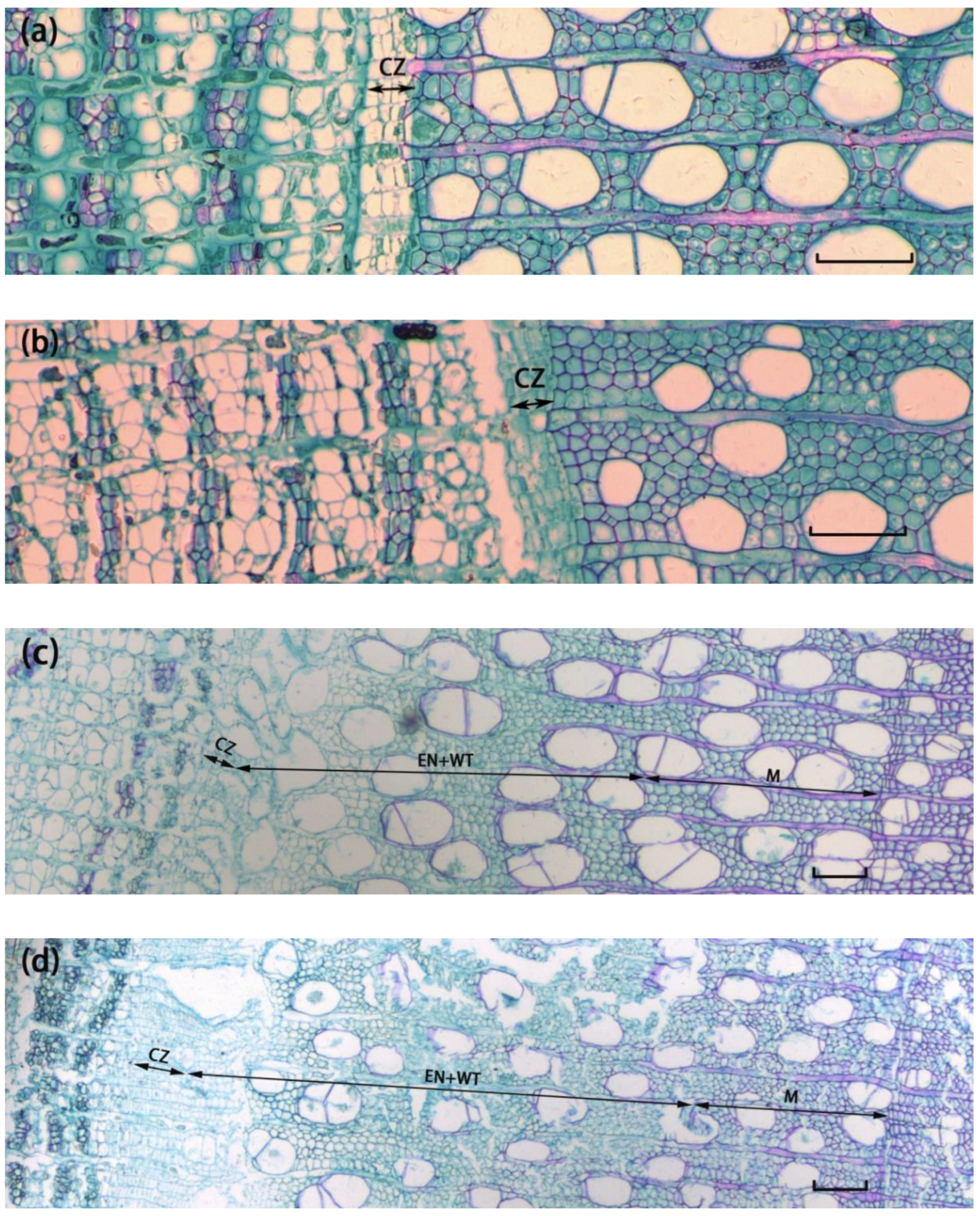 Forests 13 01441 g002