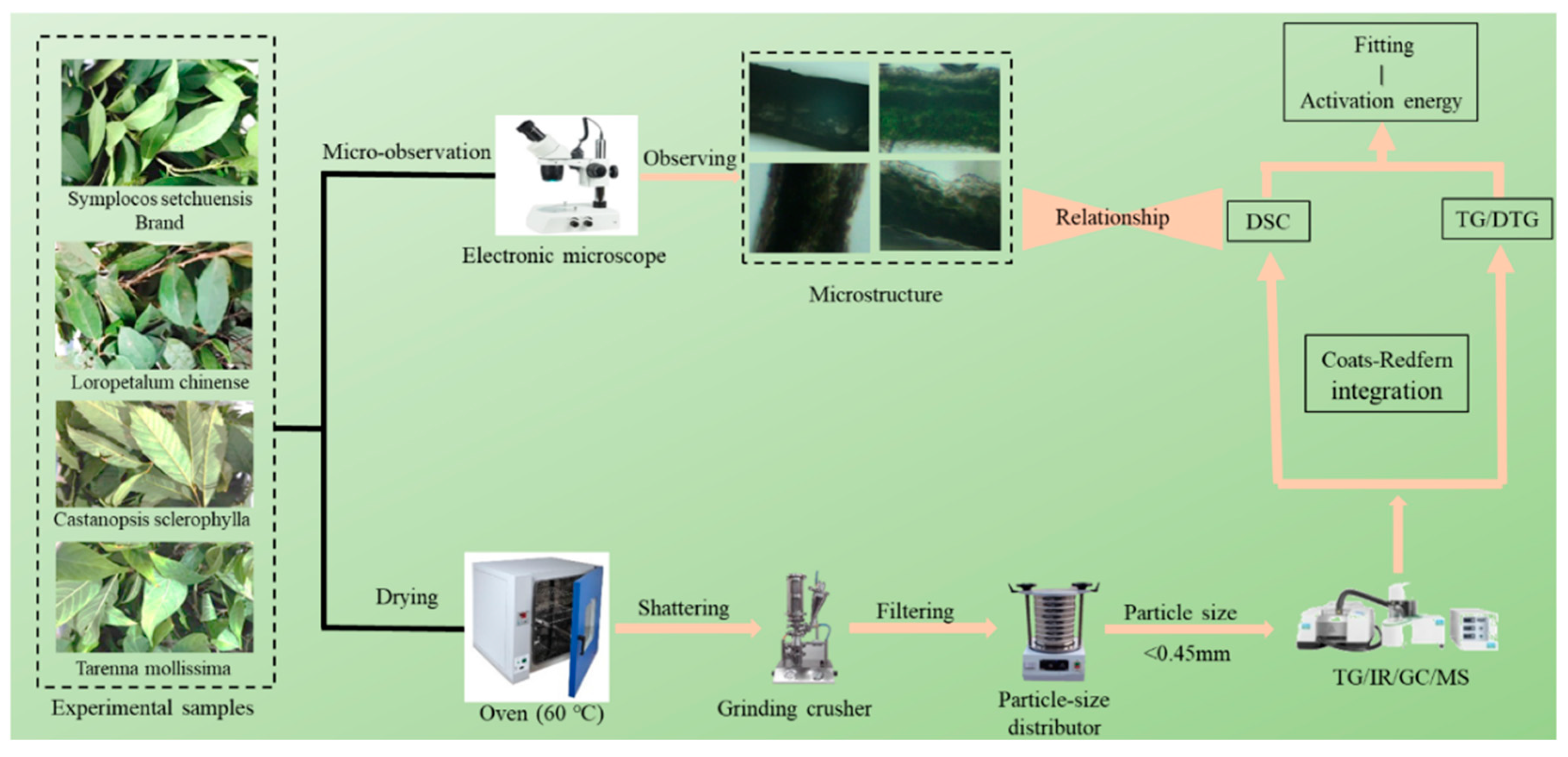 Forests 13 01443 g001