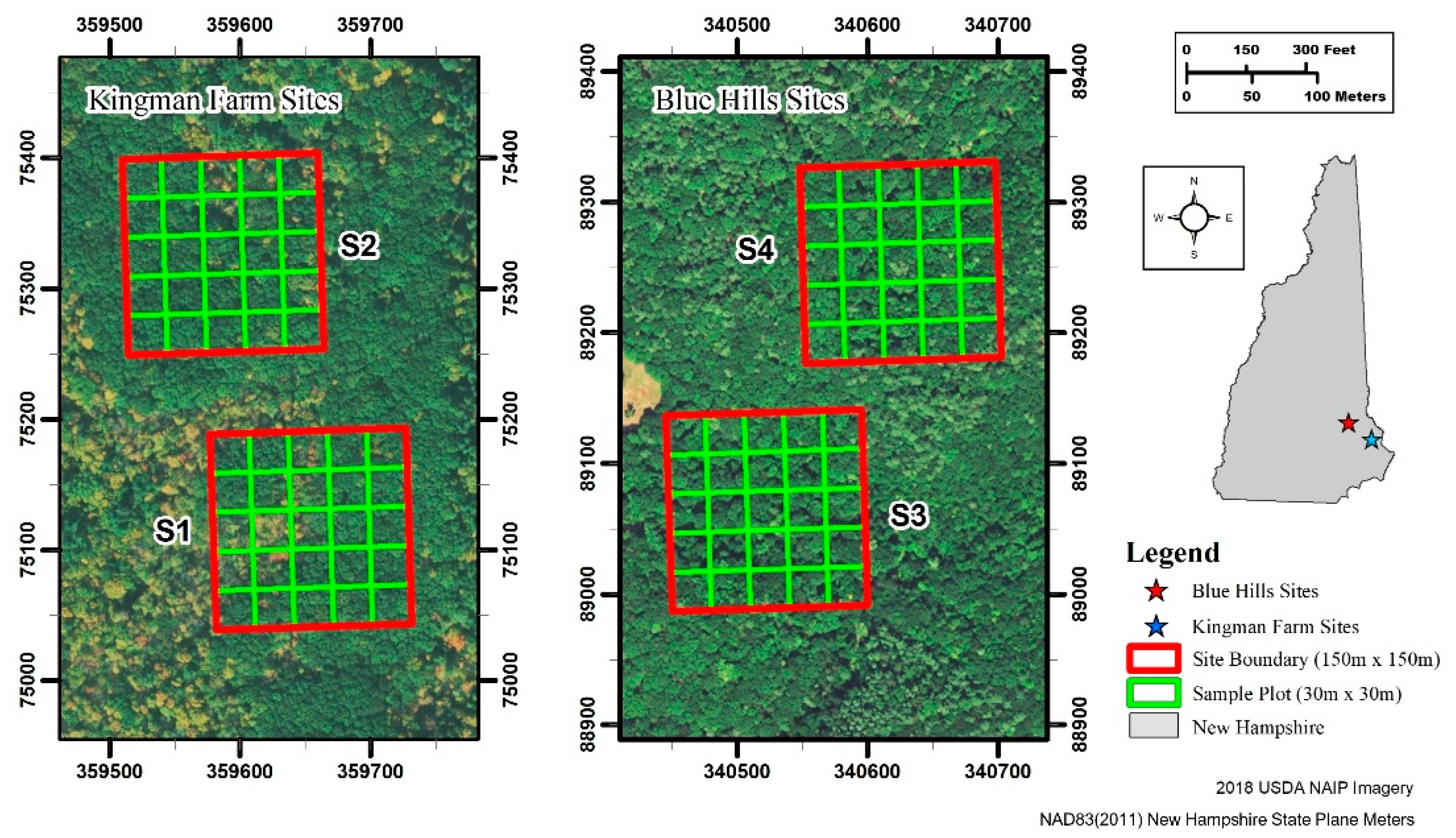 Forests | Free Full-Text | Evaluating the Impacts of Flying Height and  Forward Overlap on Tree Height Estimates Using Unmanned Aerial Systems