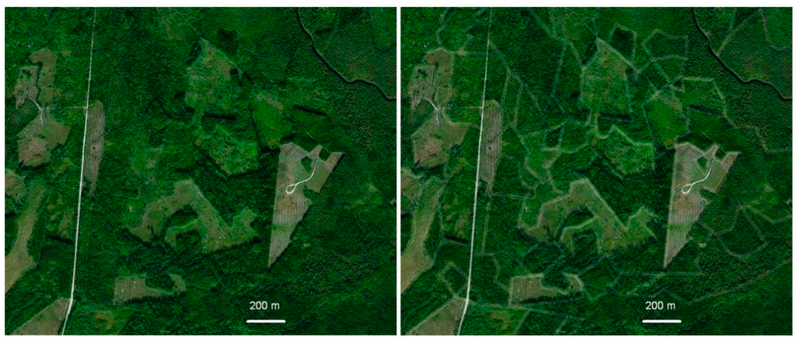 A typical habitat mosaic of forests and mires in the middle boreal