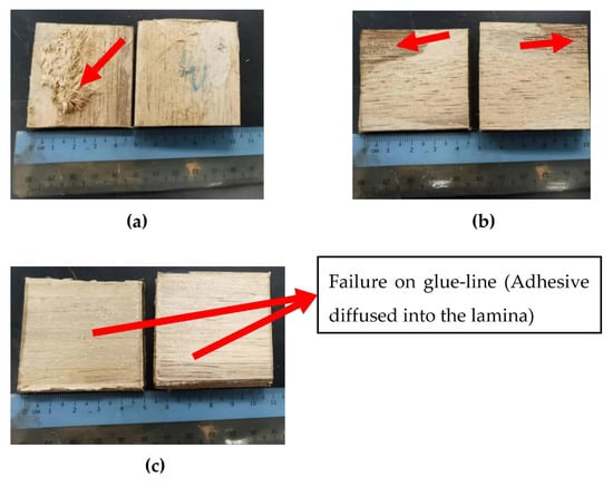 Bending, Compression and Bonding Performance of Cross-Laminated Timber  (CLT) Made from Malaysian Fast-Growing Timbers