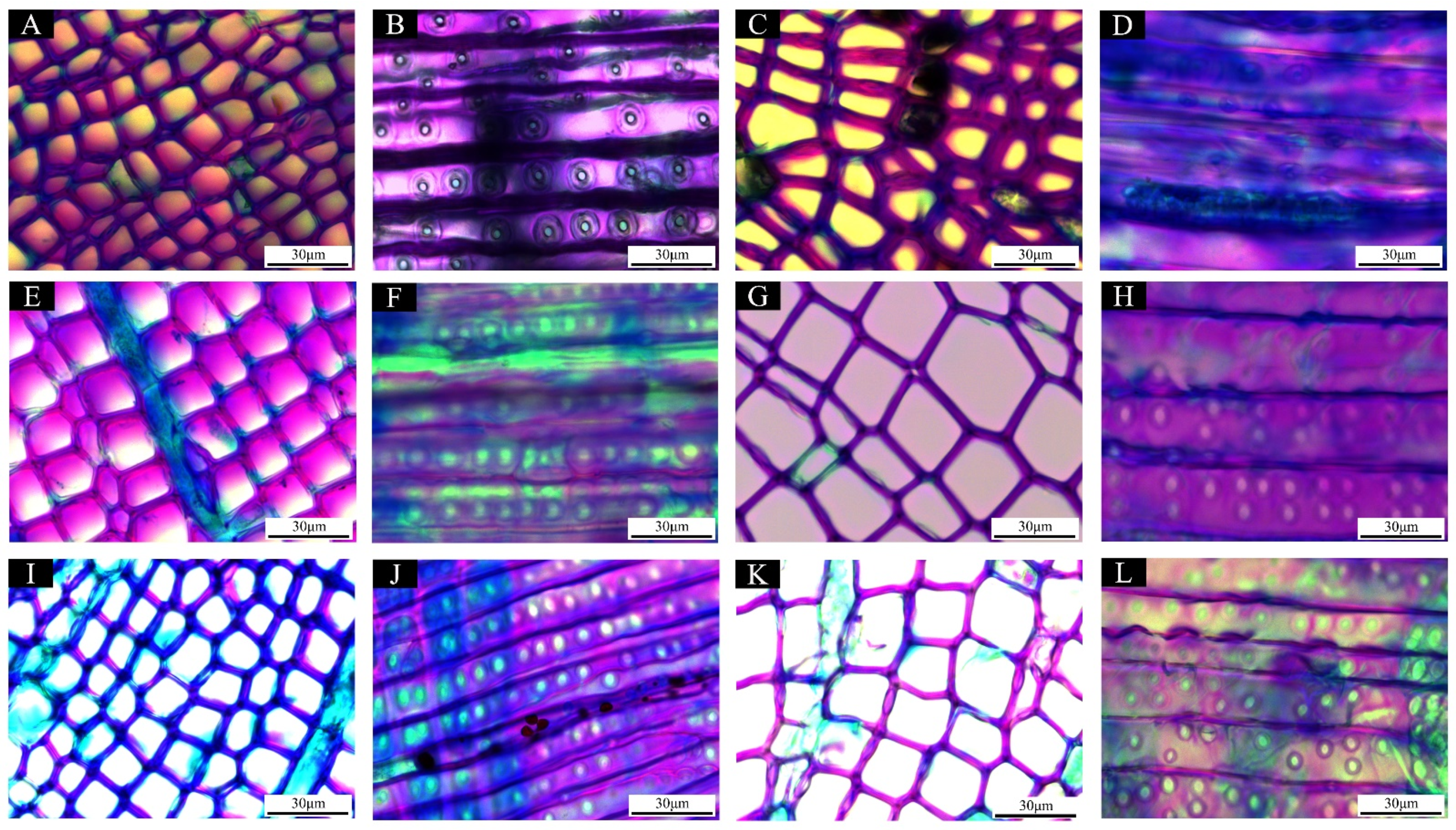 Forests 13 01564 g002 Forests 13 01564 g002
