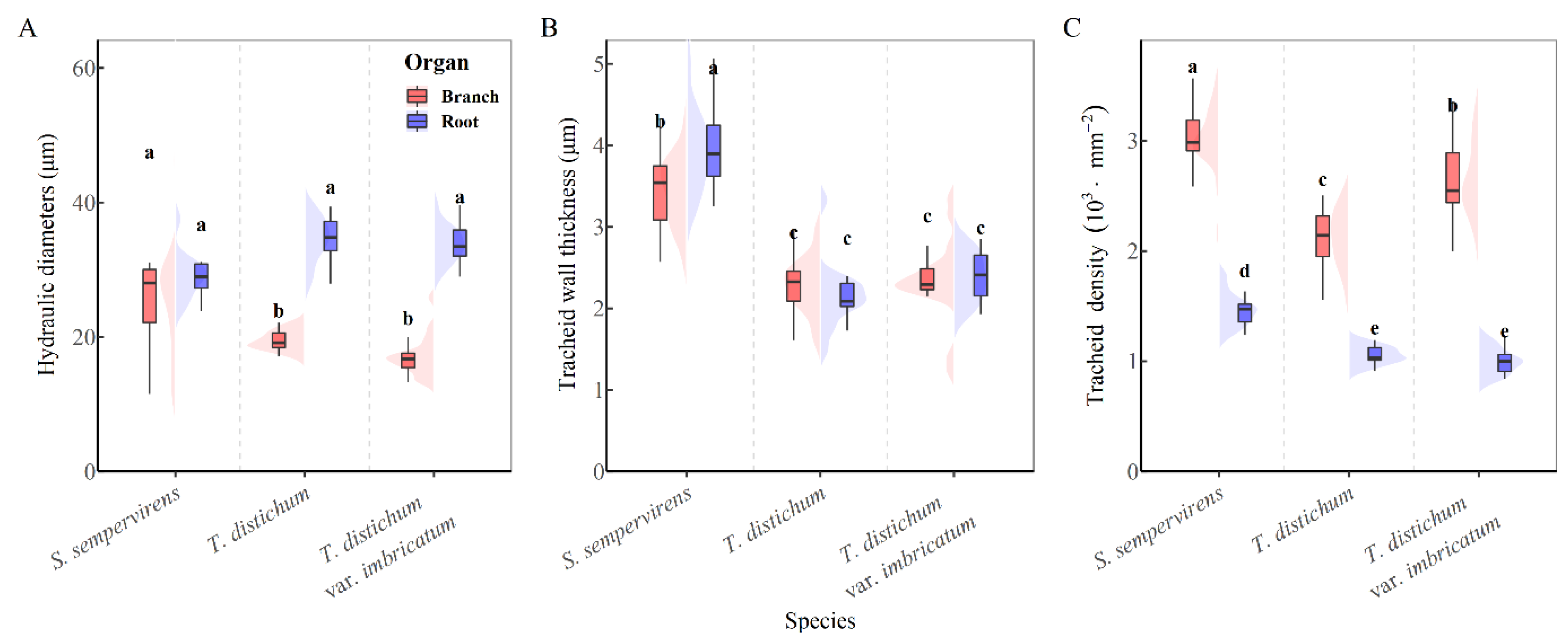 Forests 13 01564 g003 Forests 13 01564 g003