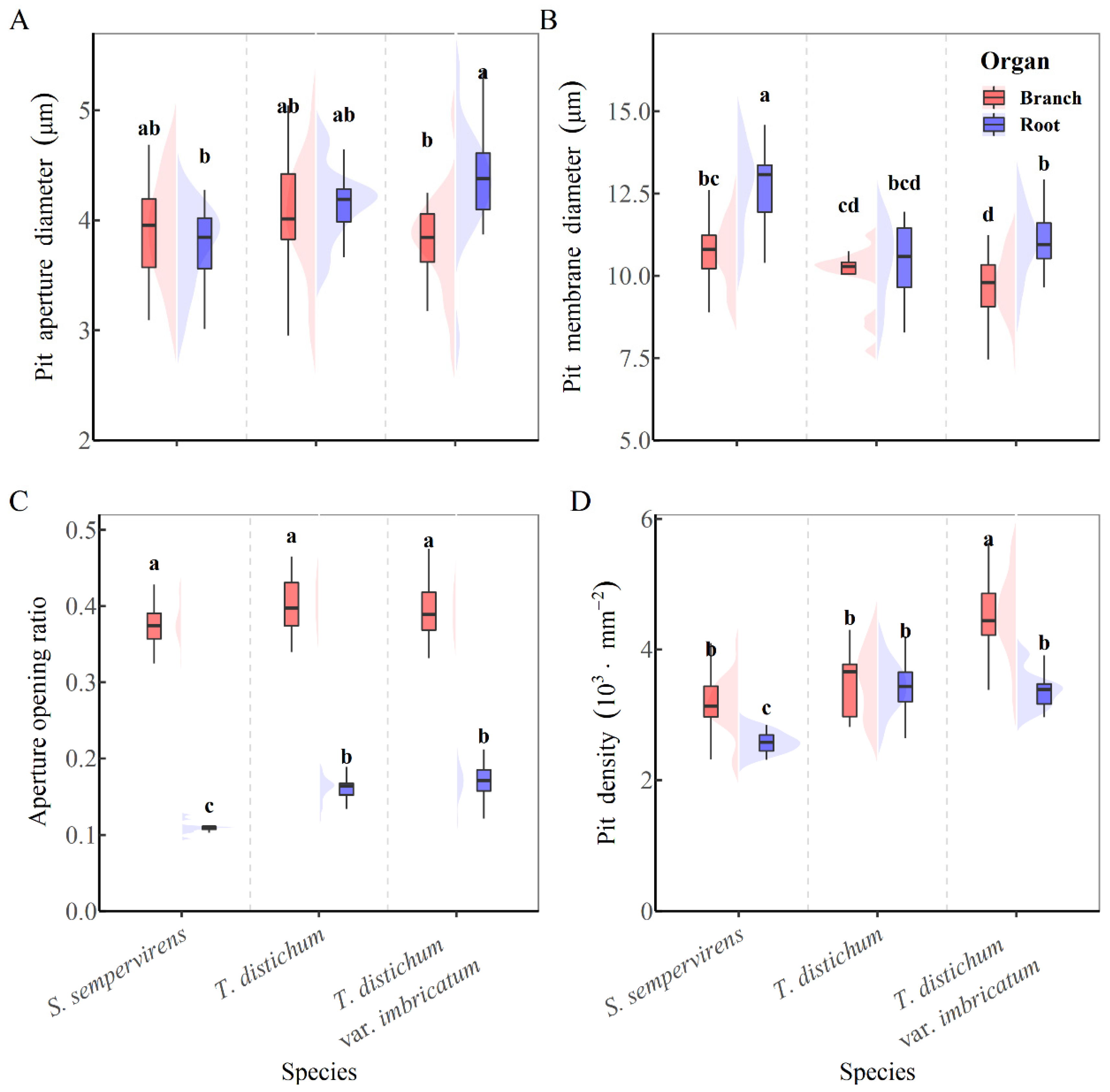 Forests 13 01564 g004 Forests 13 01564 g004