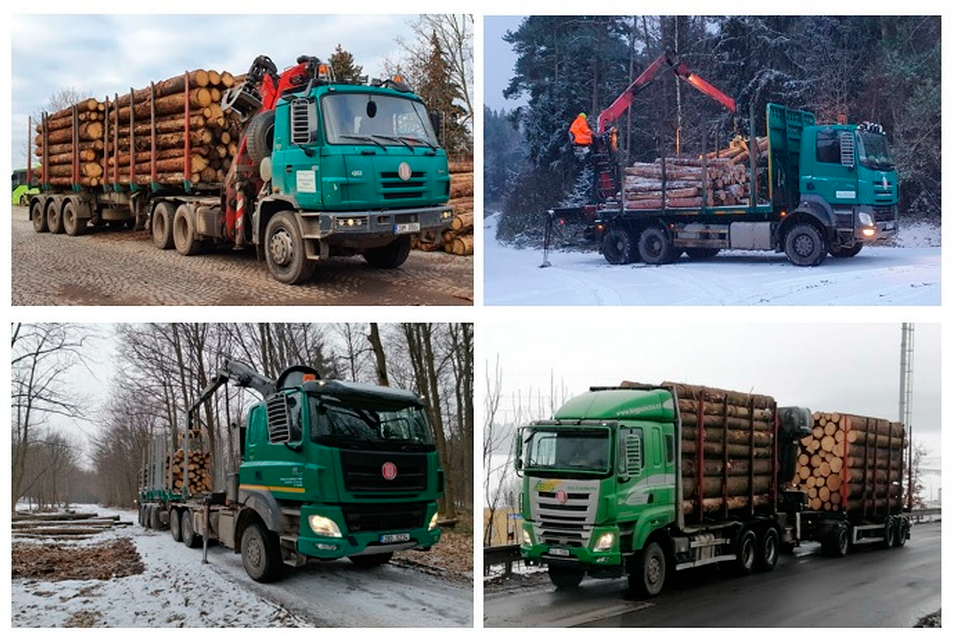 Forests 13 01565 g001