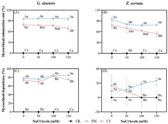 Forests | Free Full-Text | Arbuscular Mycorrhizal Fungi Alleviate 