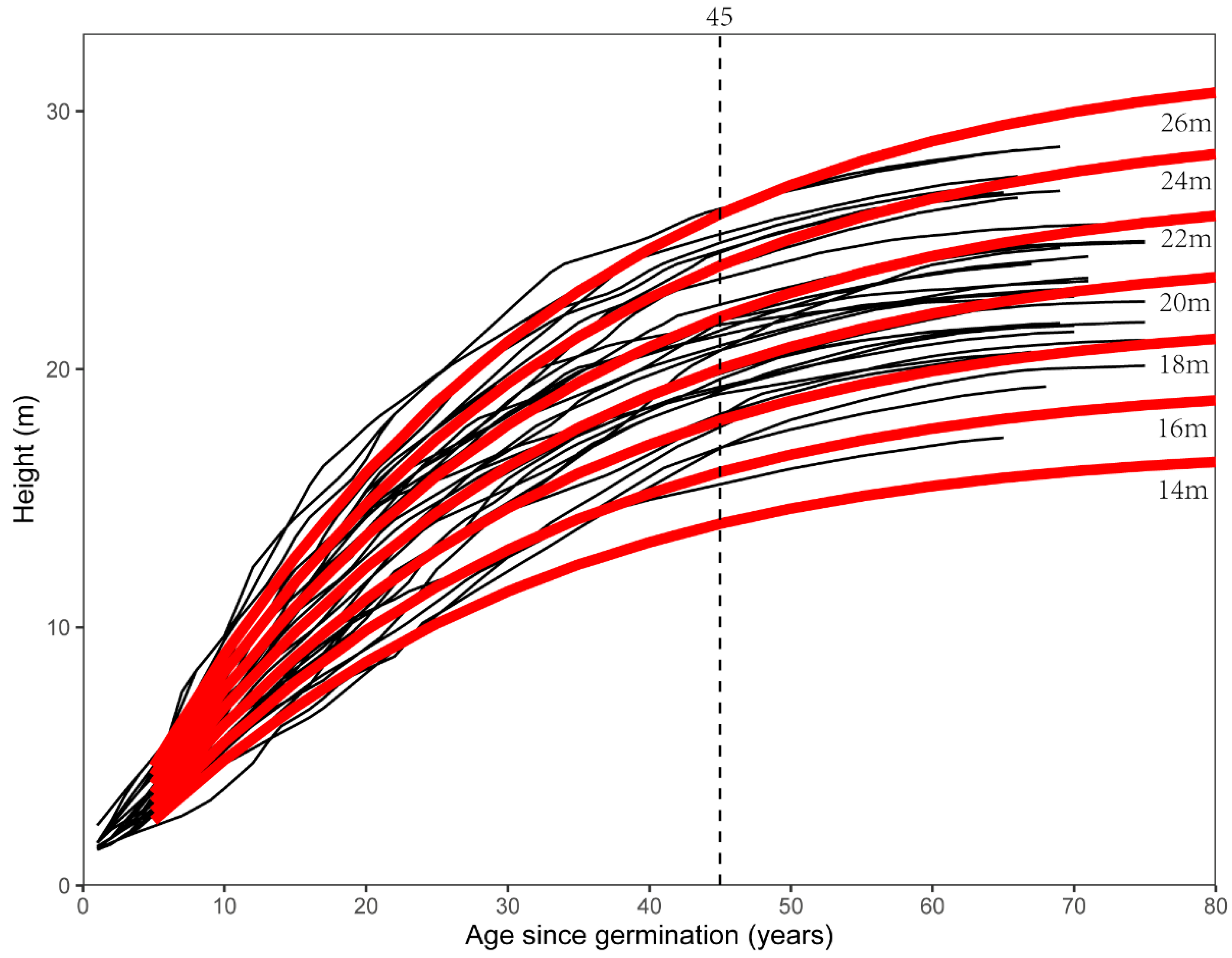 Forests 13 01592 g006