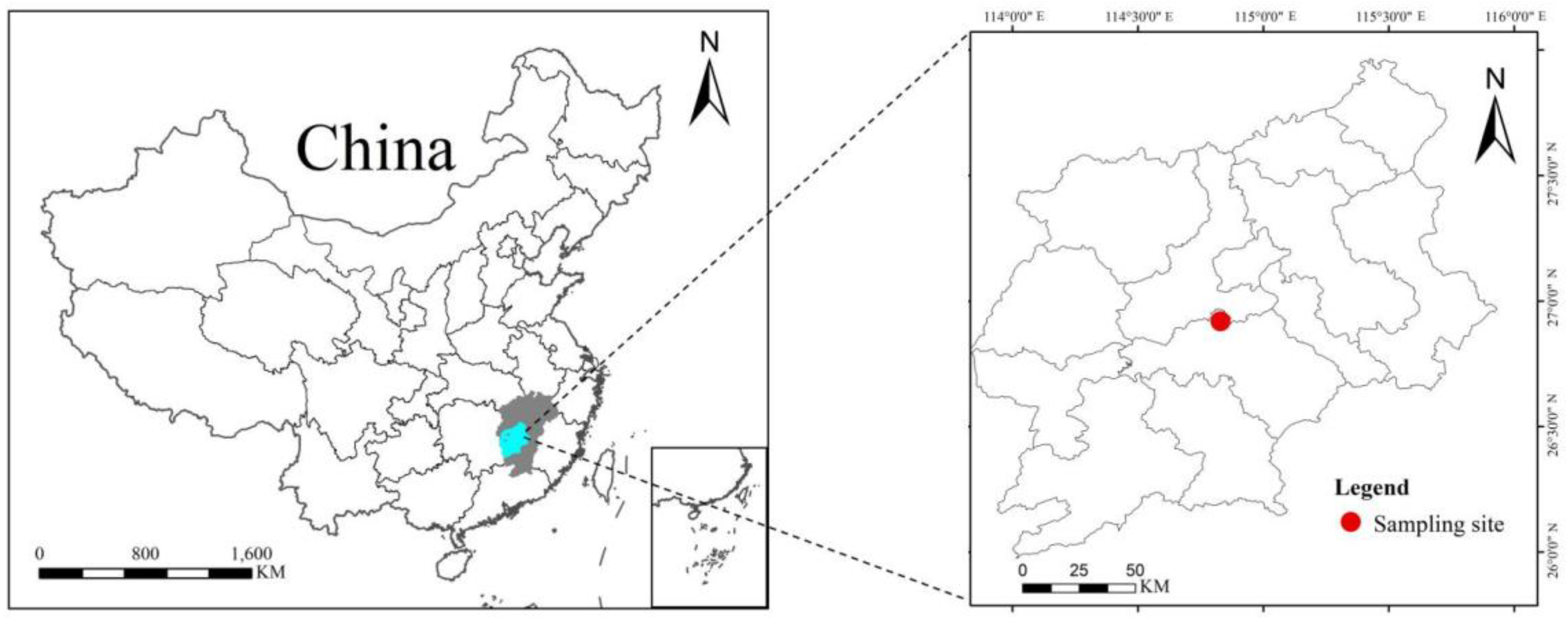 Forests 13 01596 g001