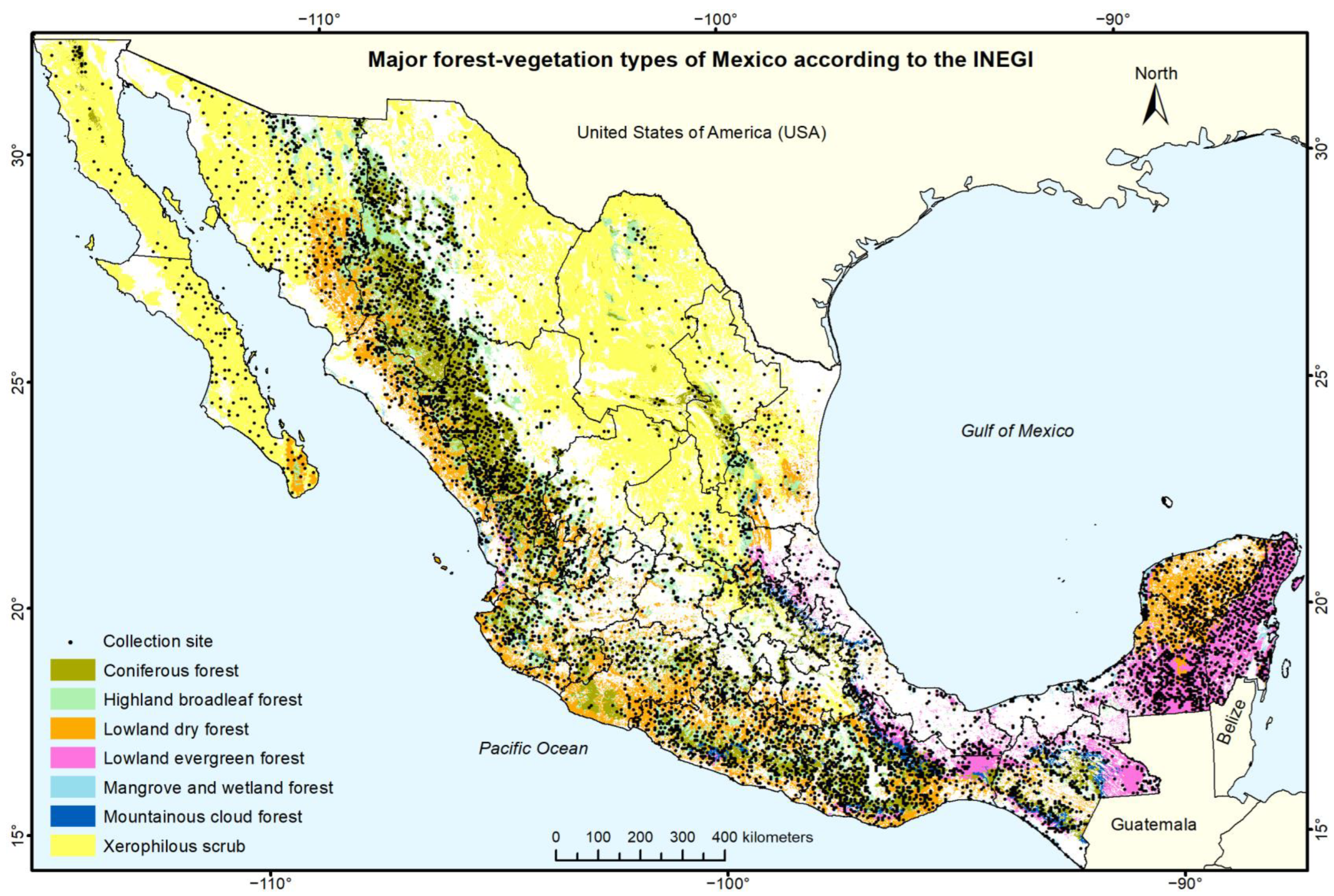 Forests | Free Full-Text | Mexico’s Forest Diversity: Common