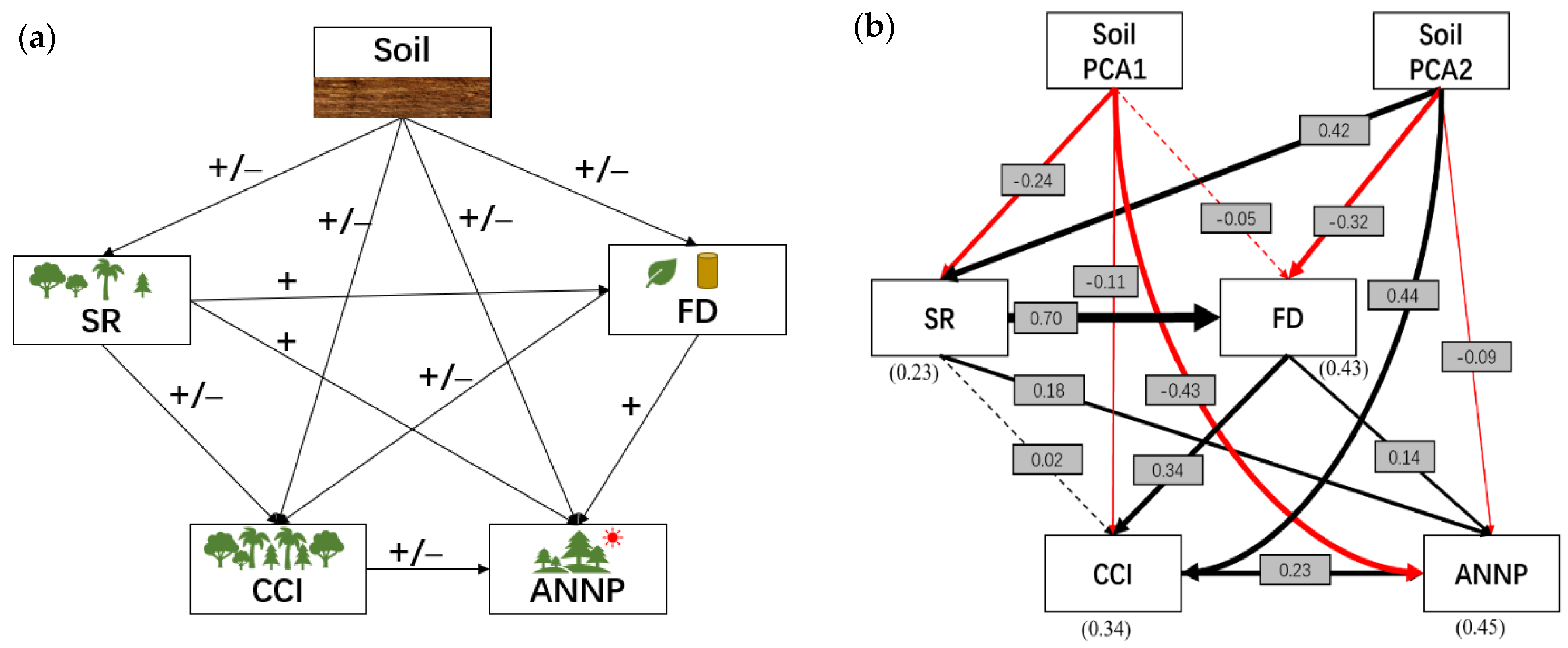 Forests 13 01604 g005