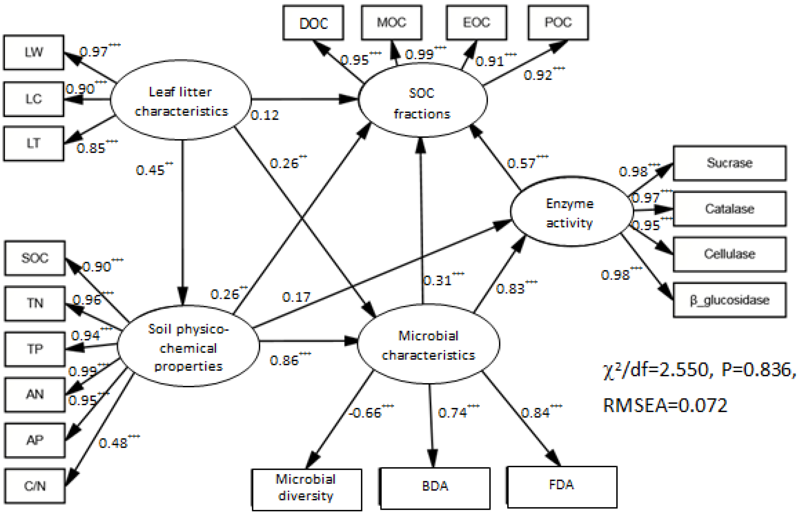 Forests | Free Full-Text | Influence of Eucalyptus Plantation on 