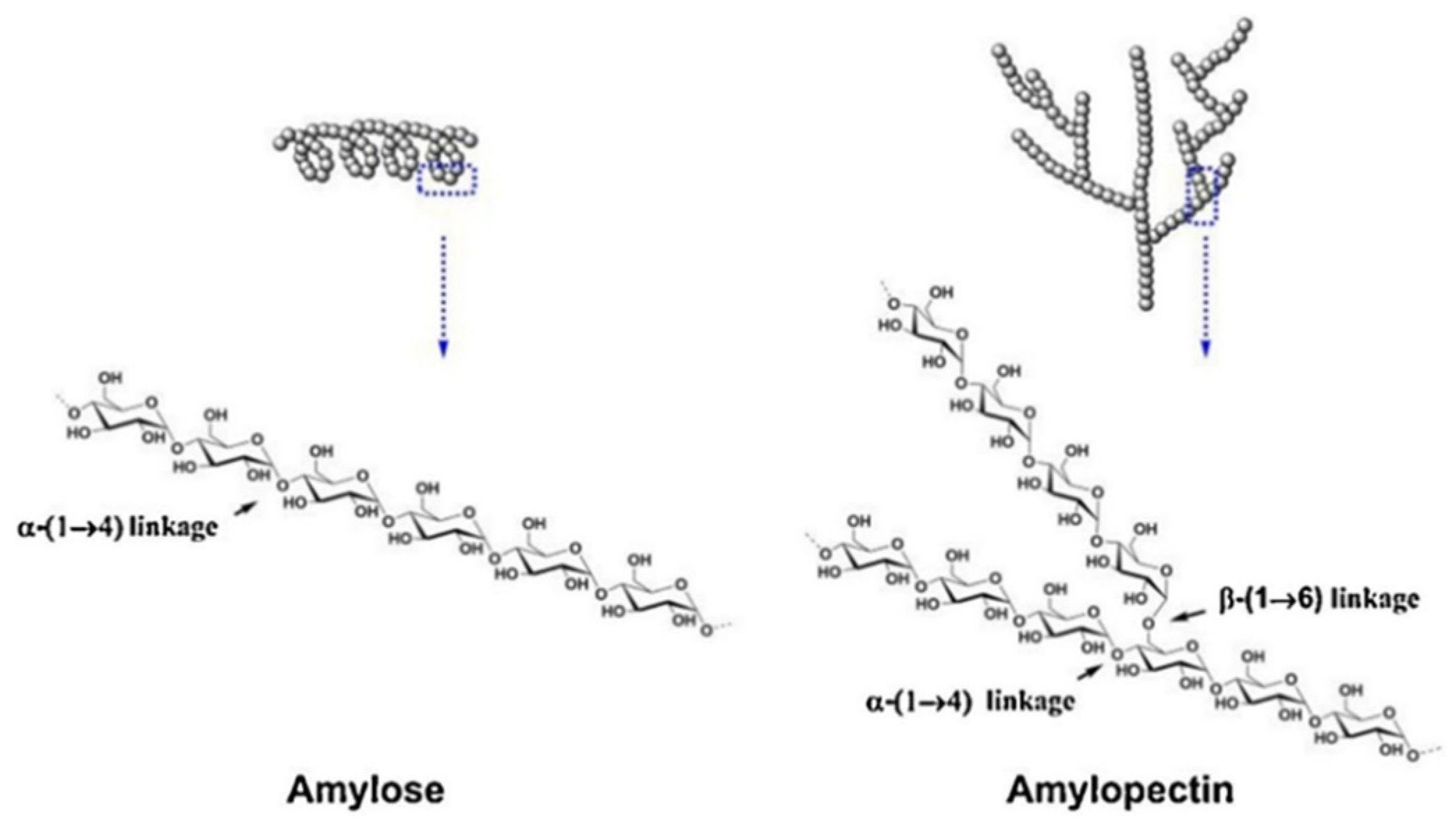 starch-based adhesives for wood wood composite bonding review