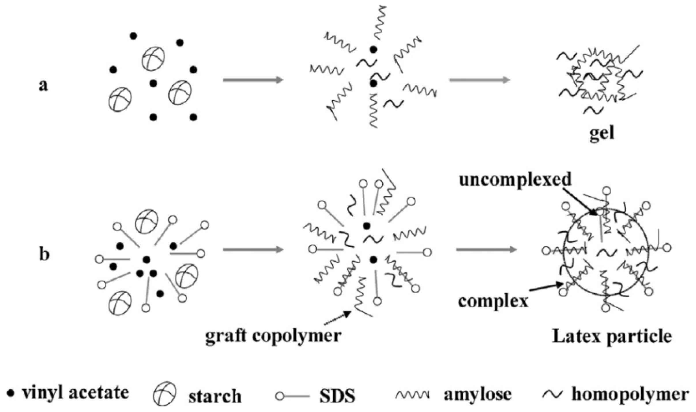 Forests 13 01614 g004
