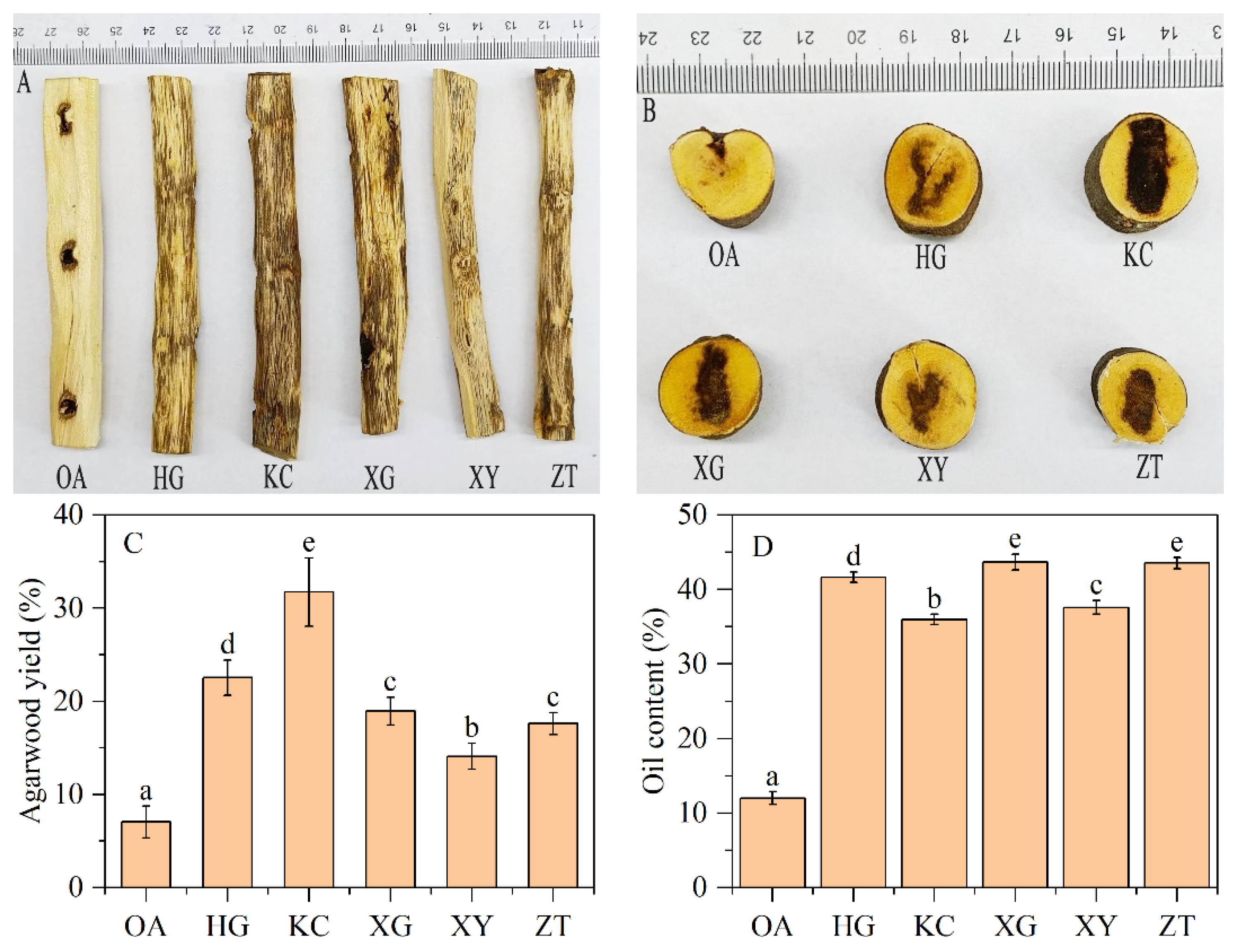 Forests 13 01618 g001