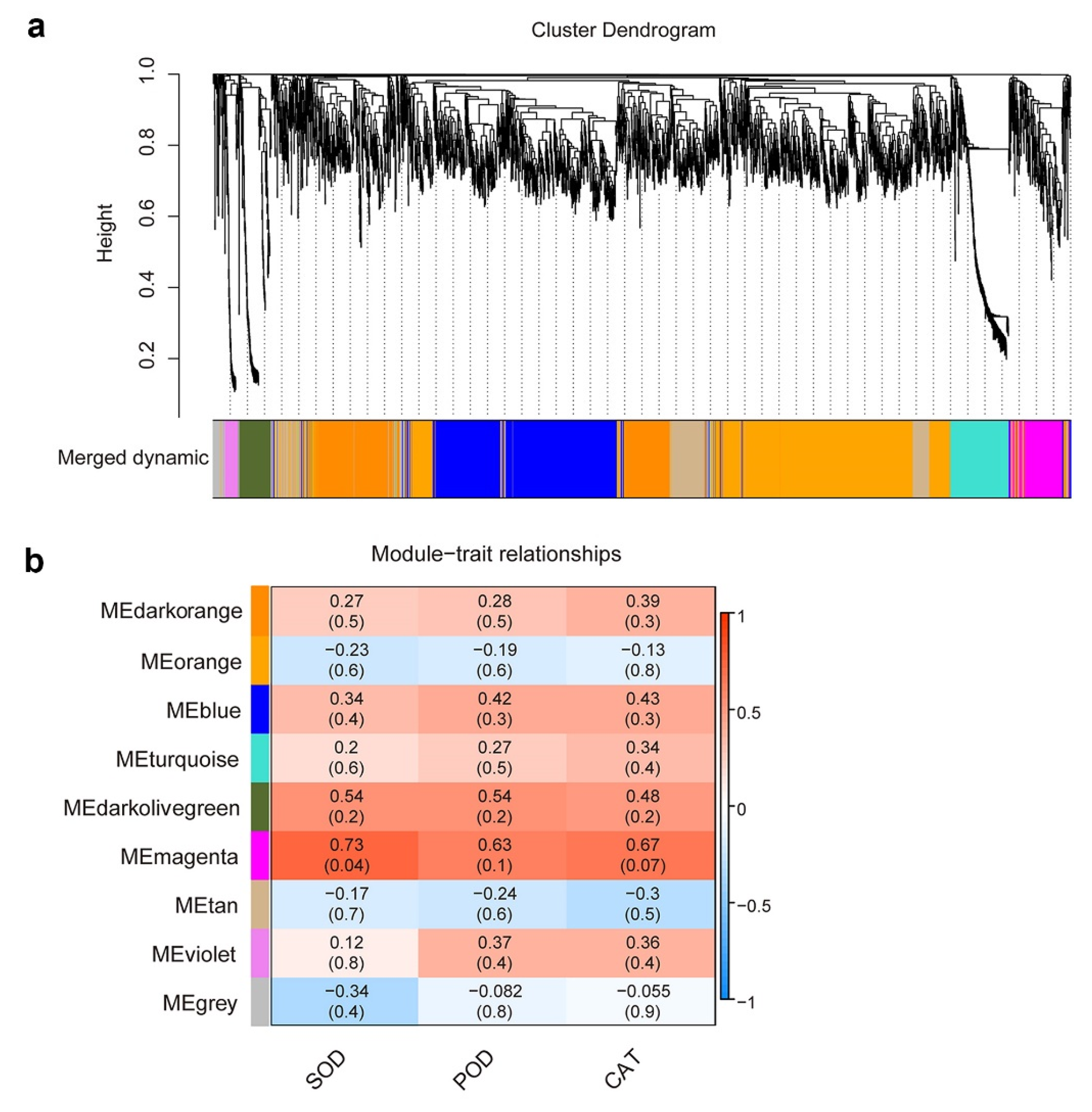 Forests 13 01655 g003 Forests 13 01655 g003