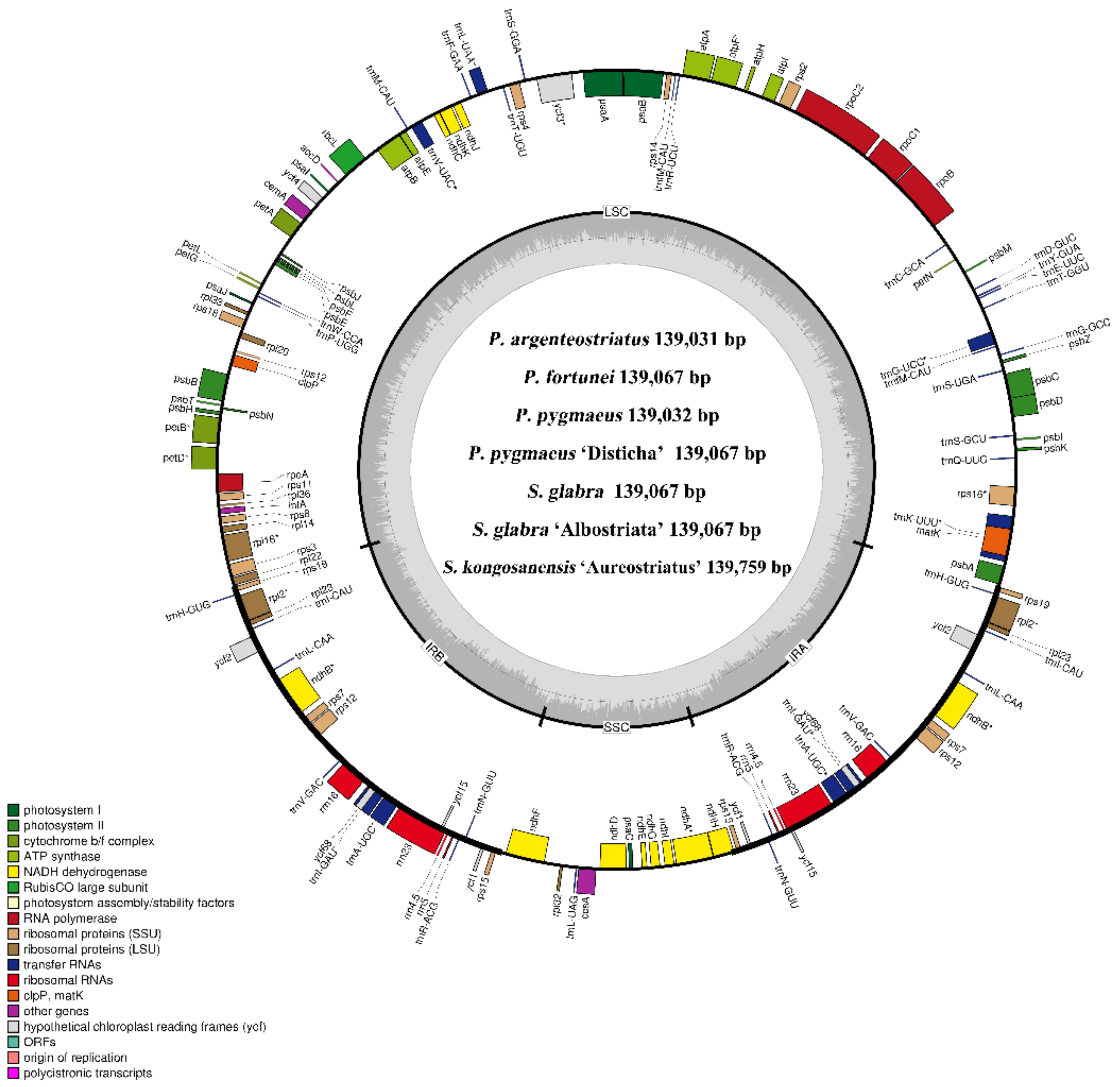 Forests 13 01671 g002 Forests 13 01671 g002