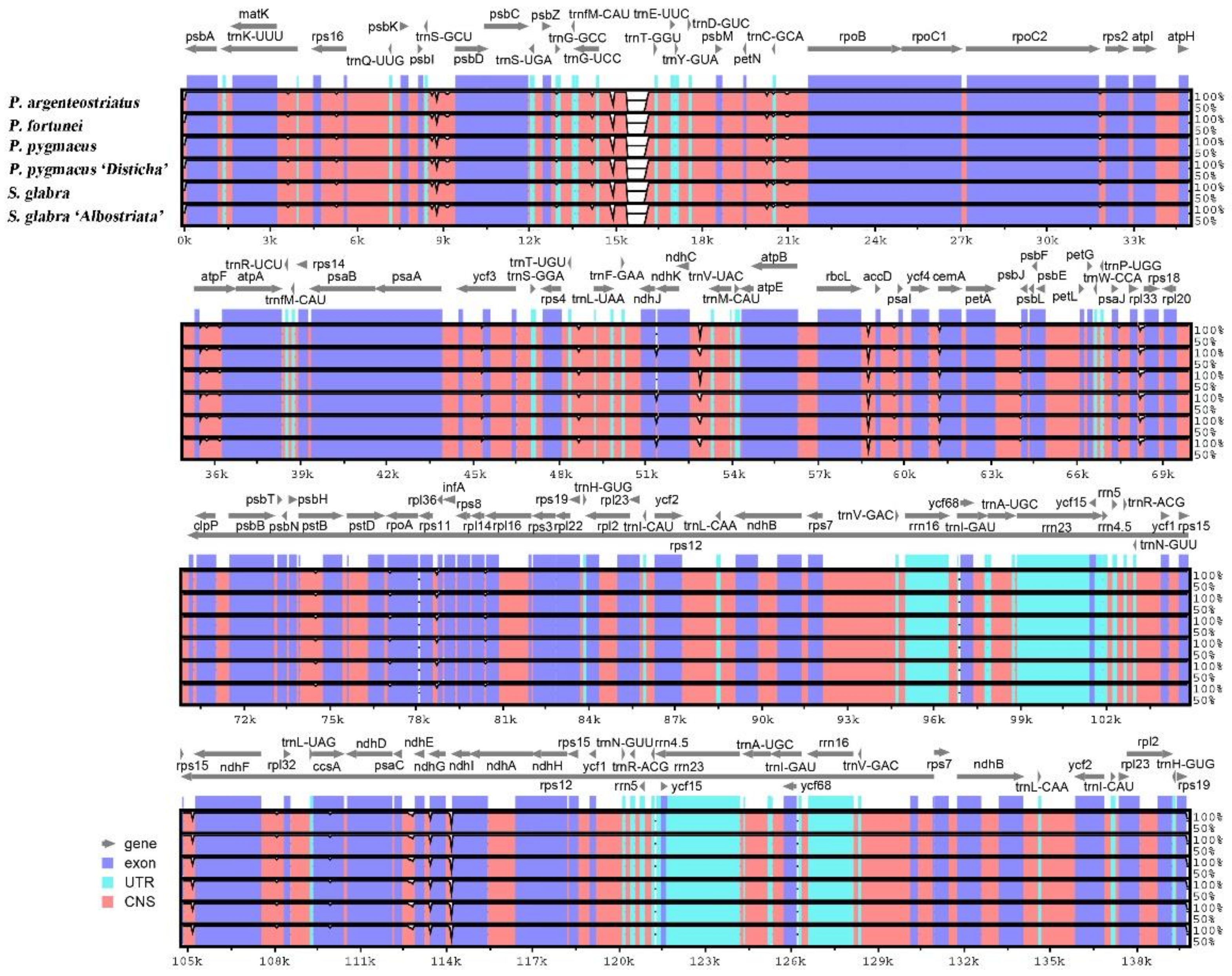 Forests 13 01671 g004 Forests 13 01671 g004
