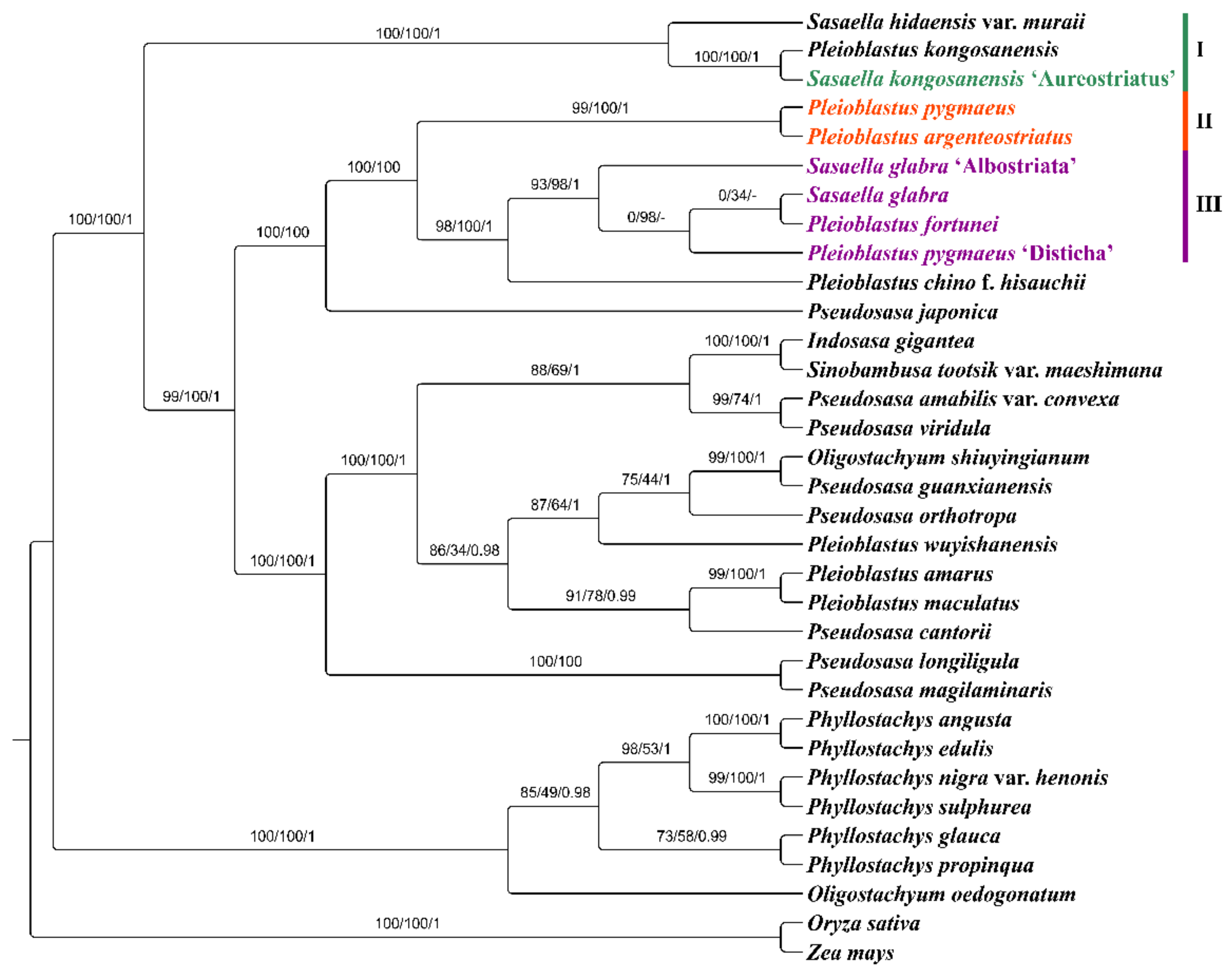 Forests 13 01671 g006 Forests 13 01671 g006