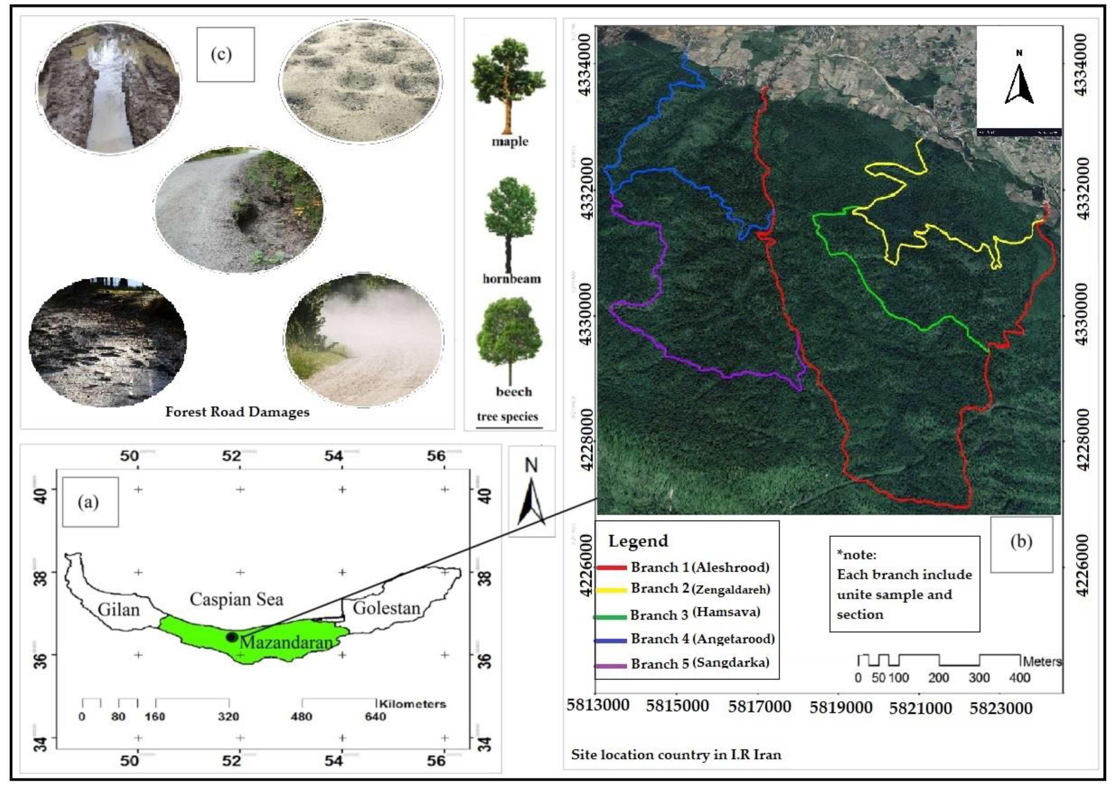 Forests 13 01674 g003 Forests 13 01674 g003