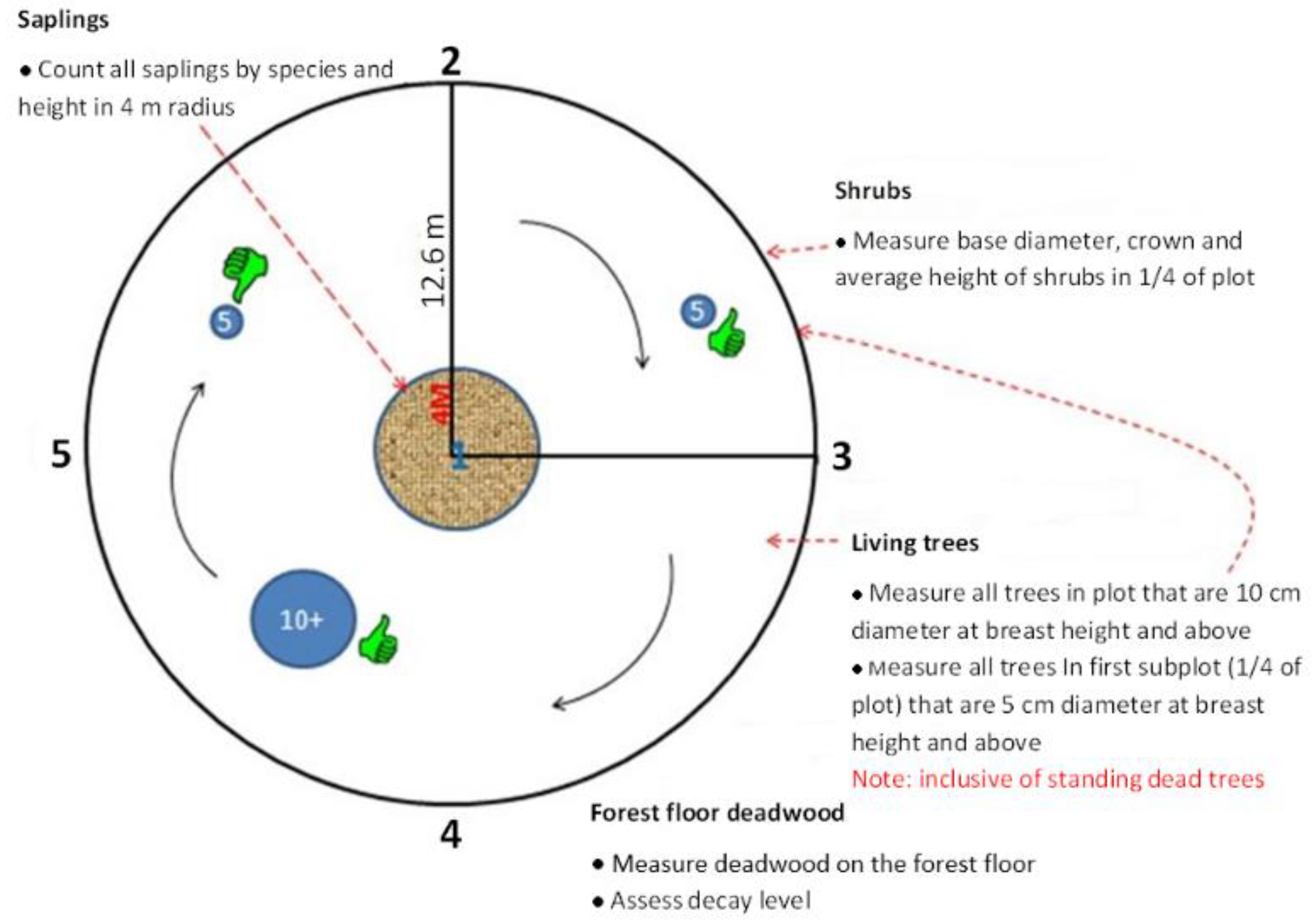 Forests 13 01676 g003 Forests 13 01676 g003