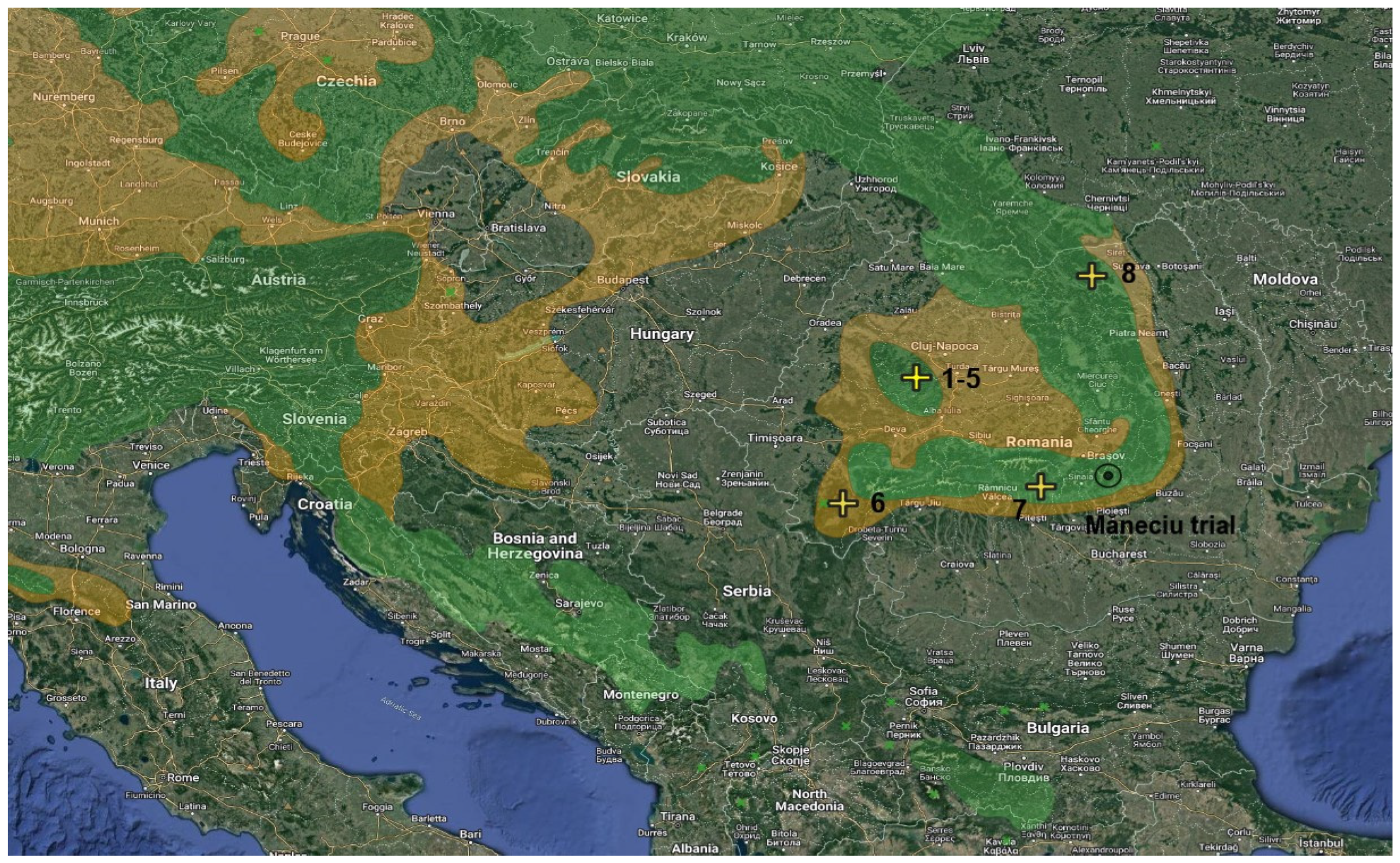 Forests Free Full Text Microenvironment Impact on Survival