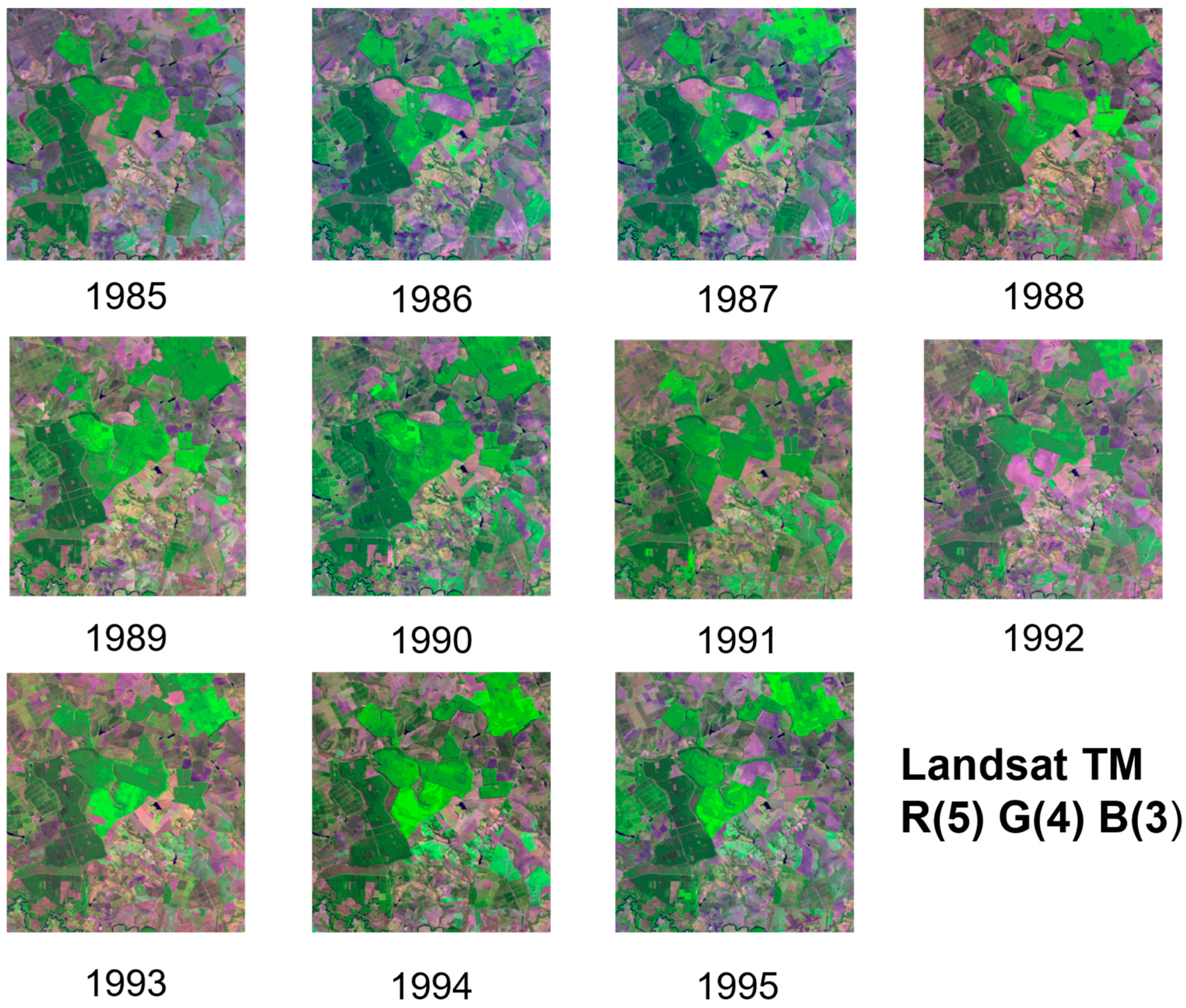 Forests 13 01716 g017